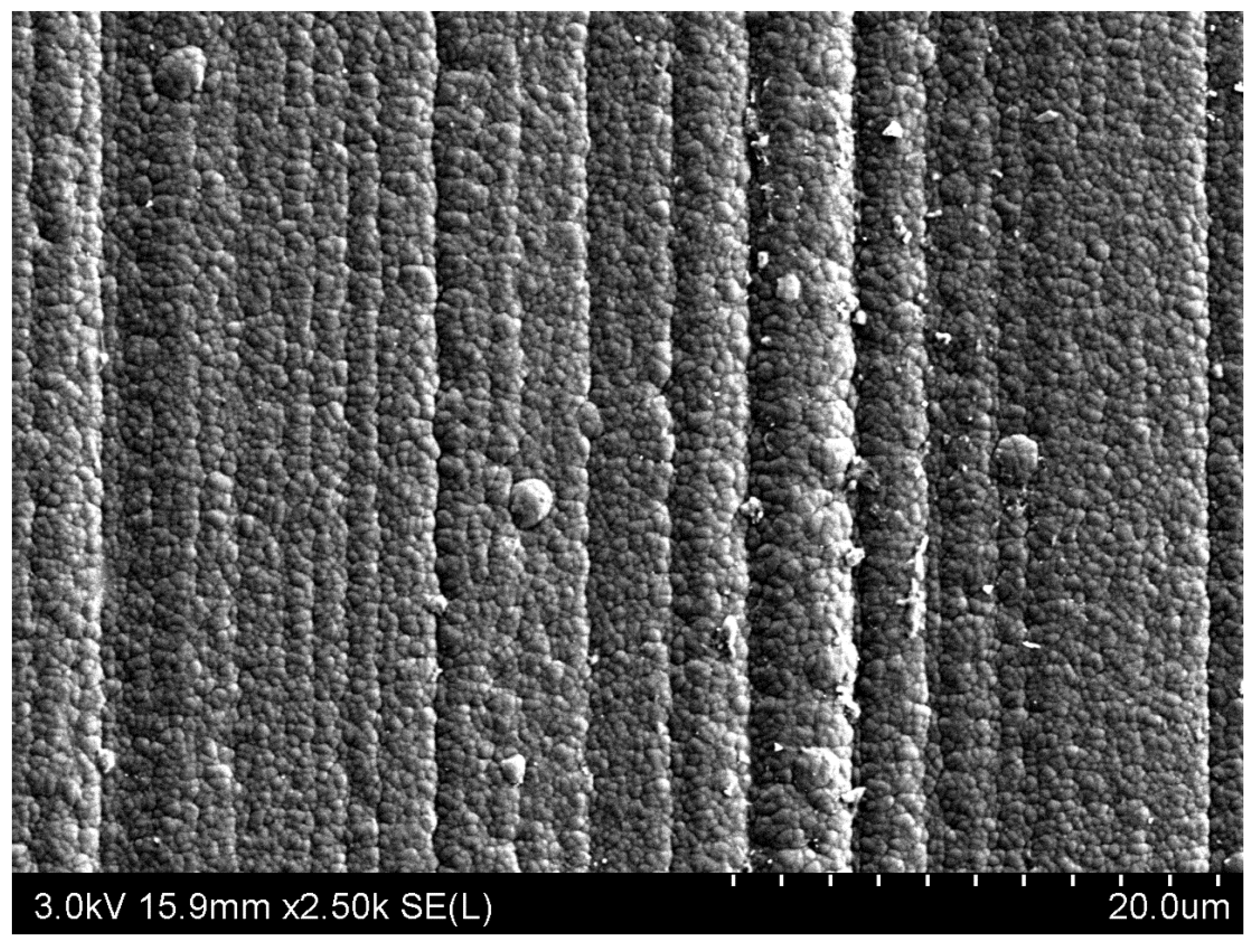 Forests 13 00286 g006