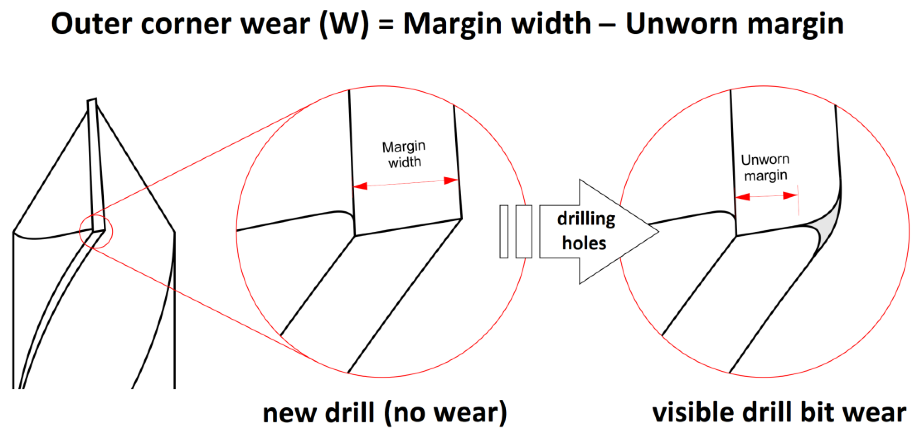 Forests 13 00286 g007