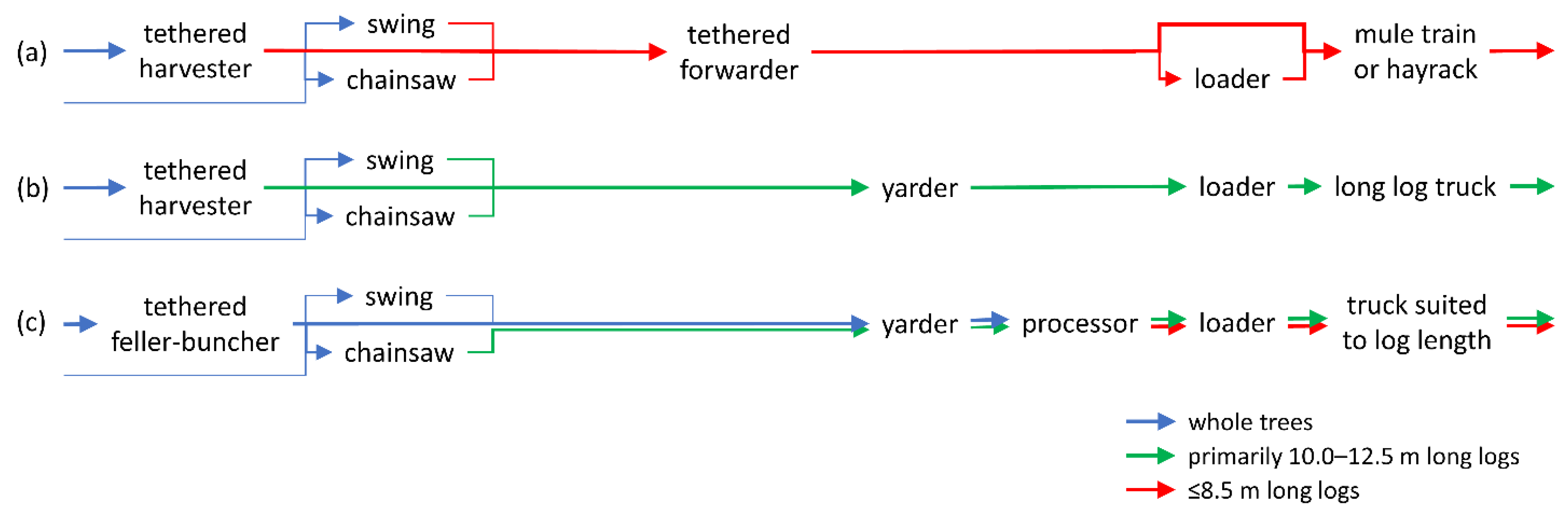 Forests 13 00305 g001