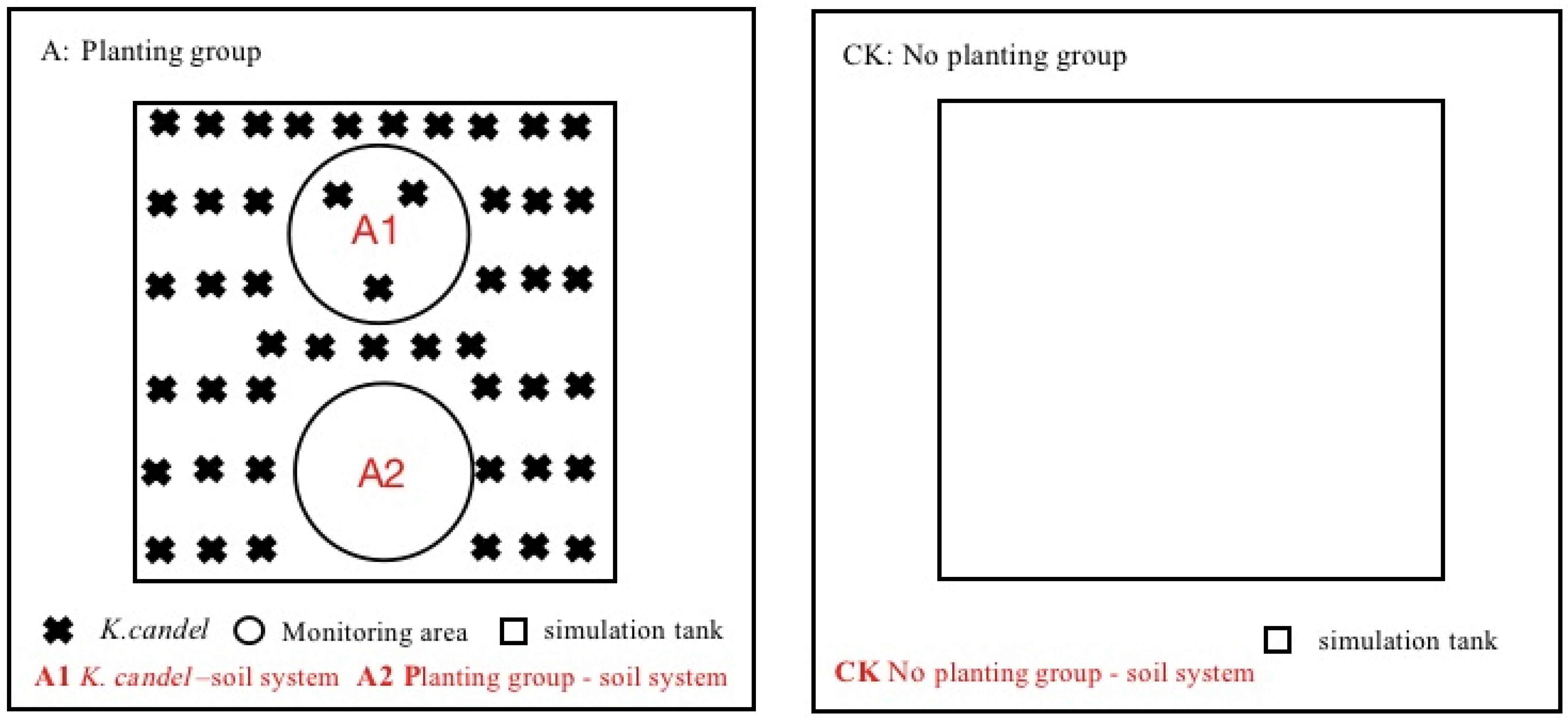 Forests 13 00318 g001