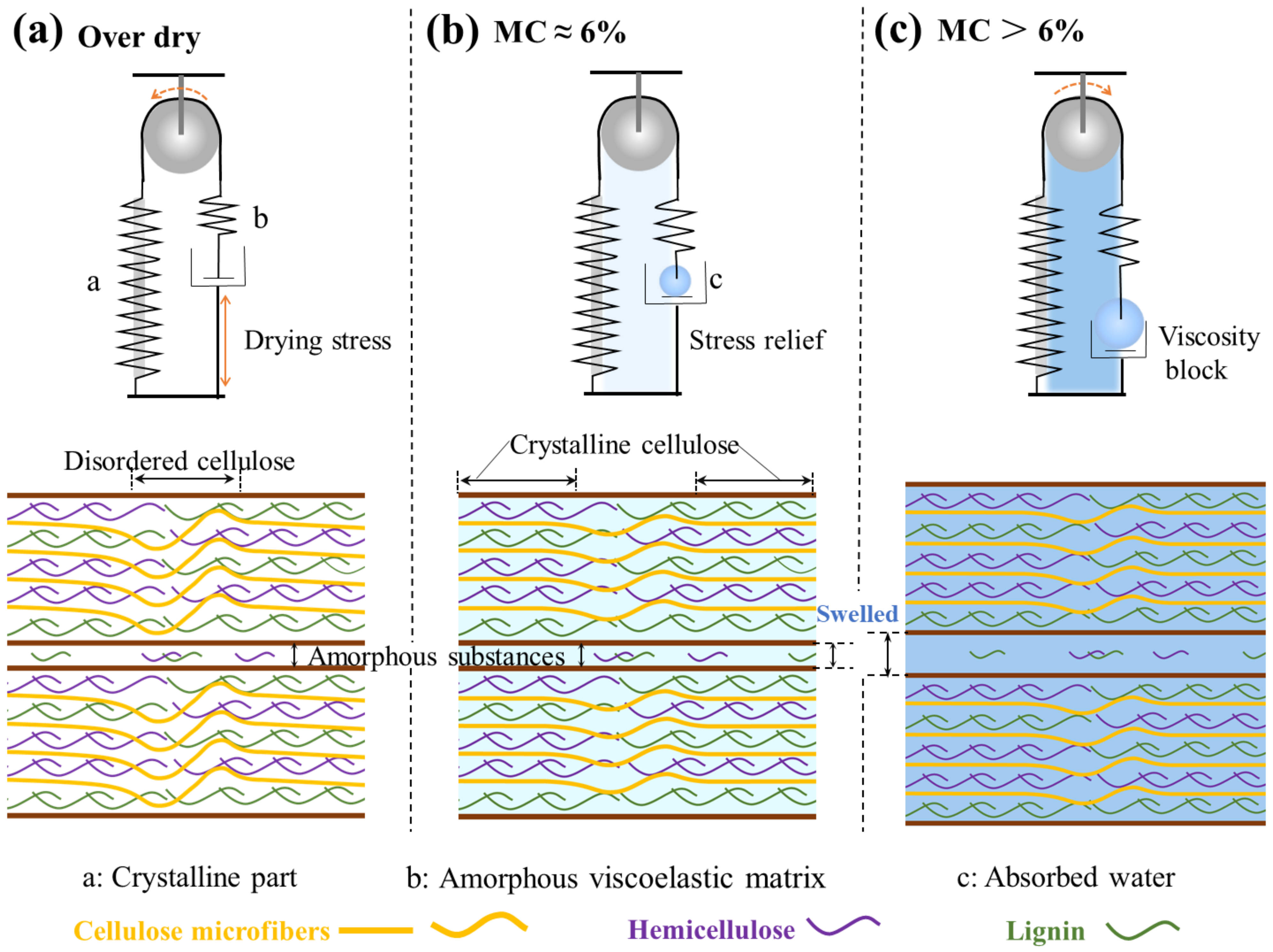 Forests 13 00329 g010