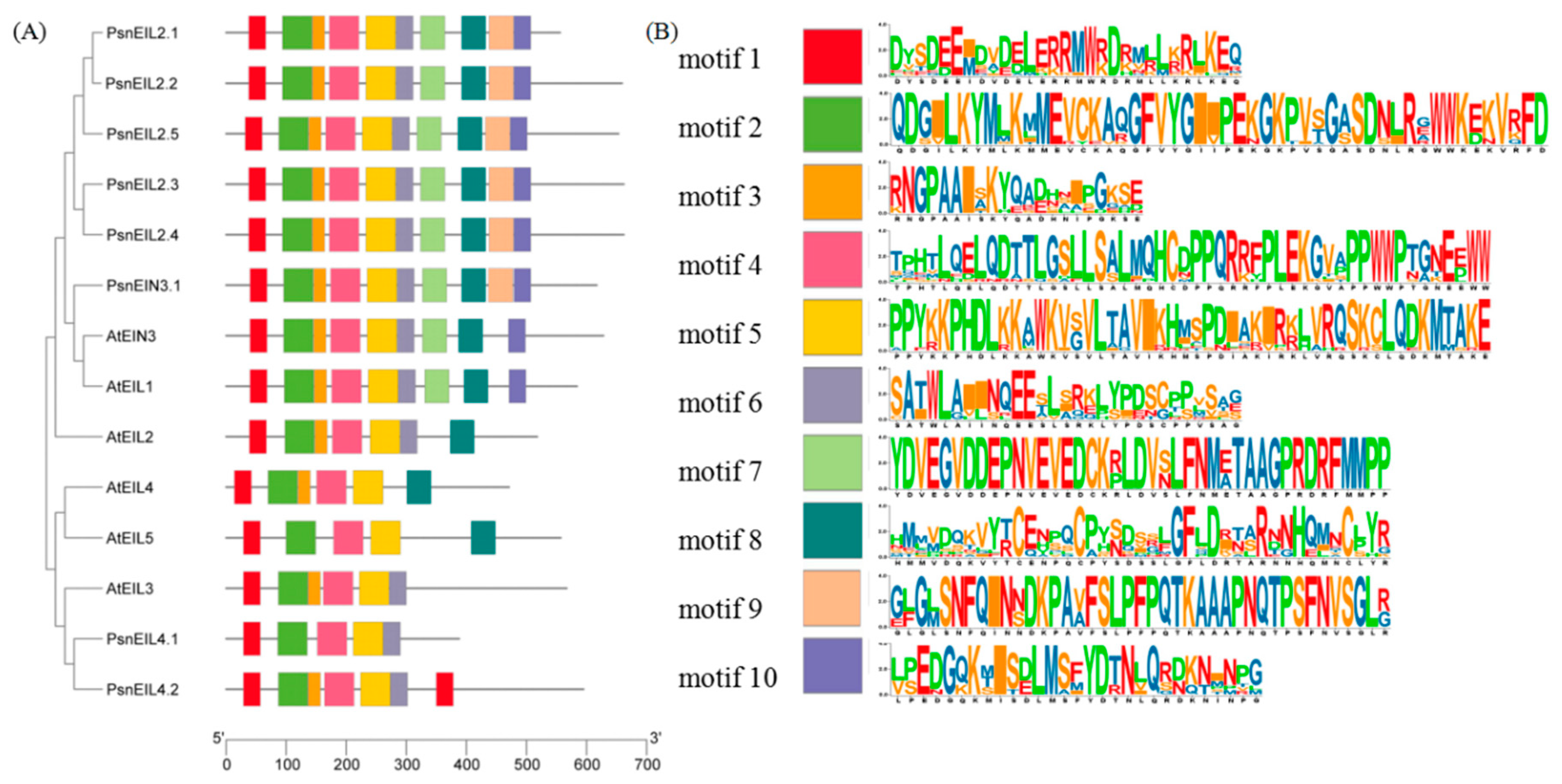 Forests 13 00382 g004