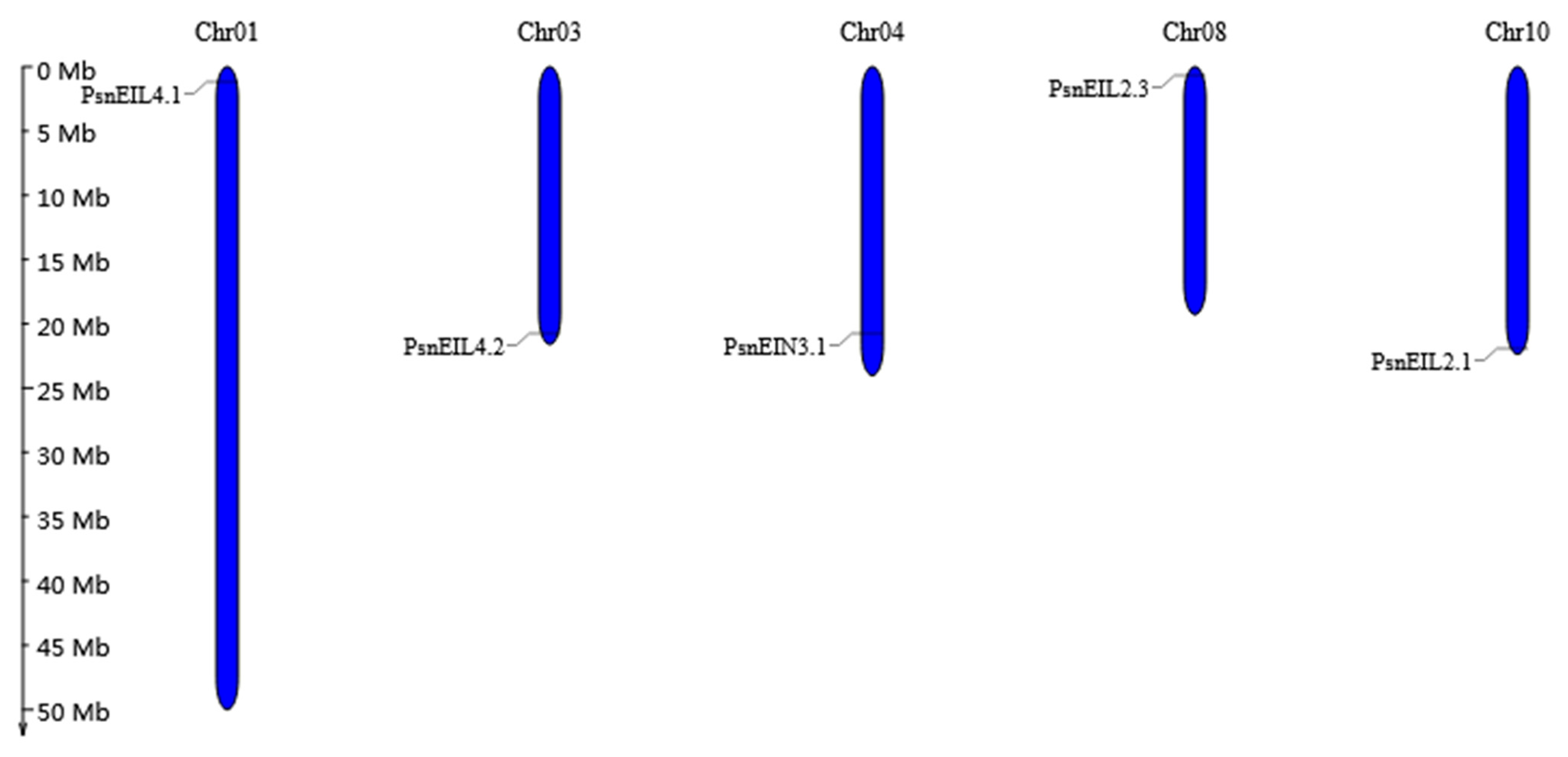 Forests 13 00382 g005