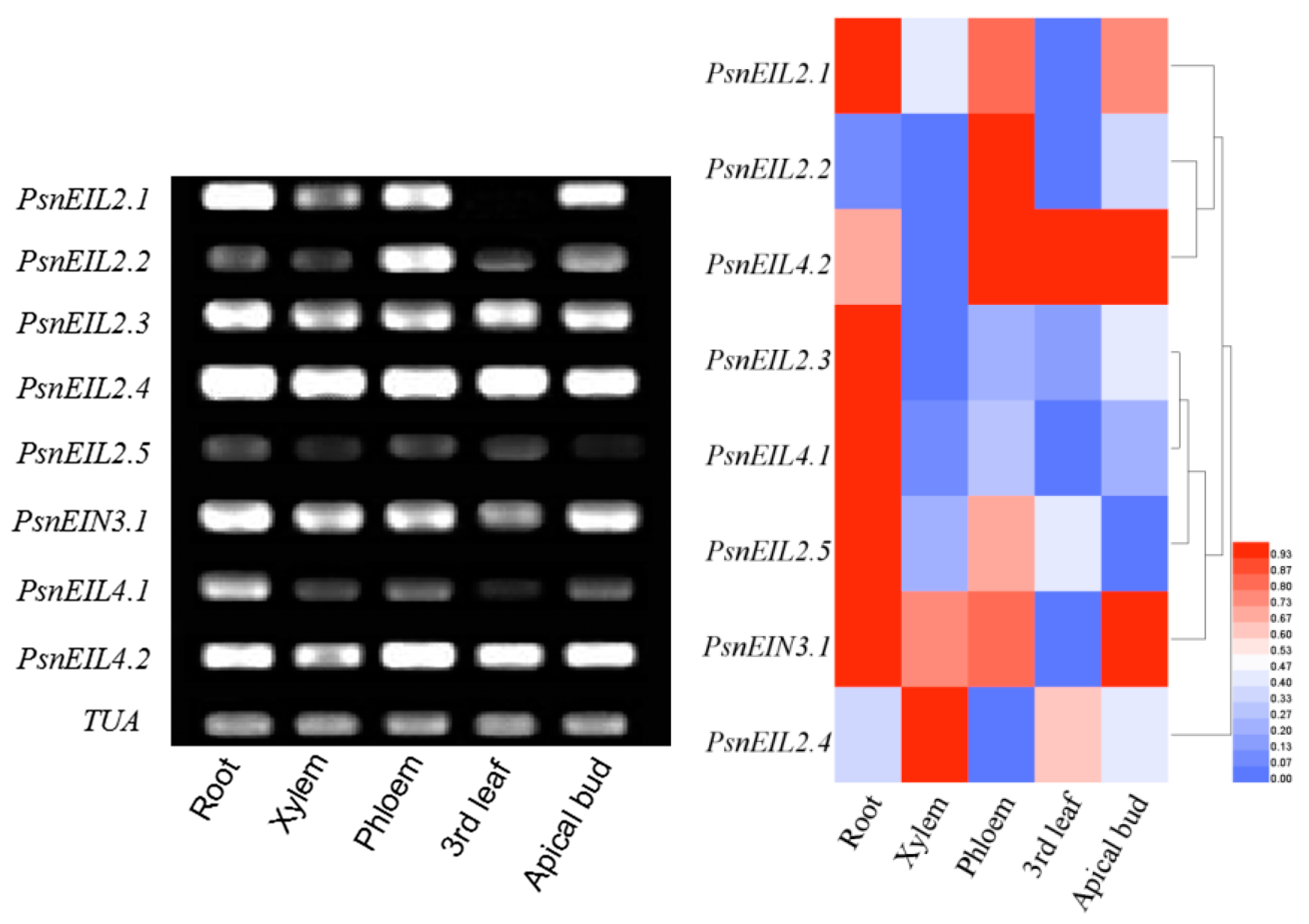 Forests 13 00382 g008