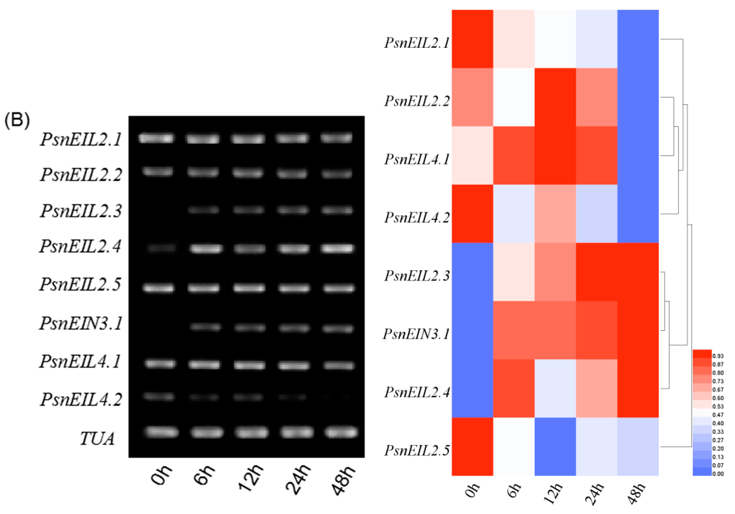 Forests 13 00382 g012b