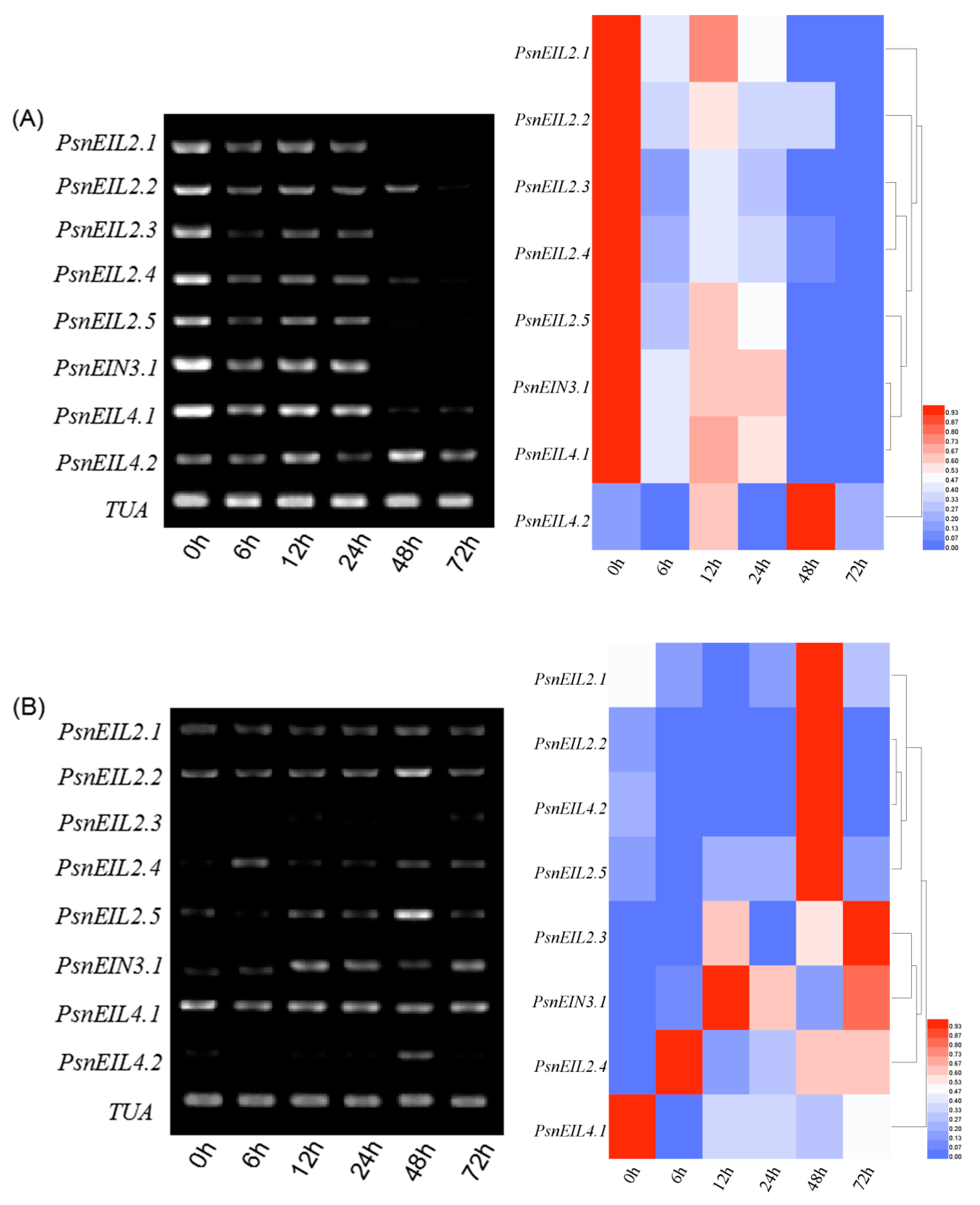 Forests 13 00382 g013