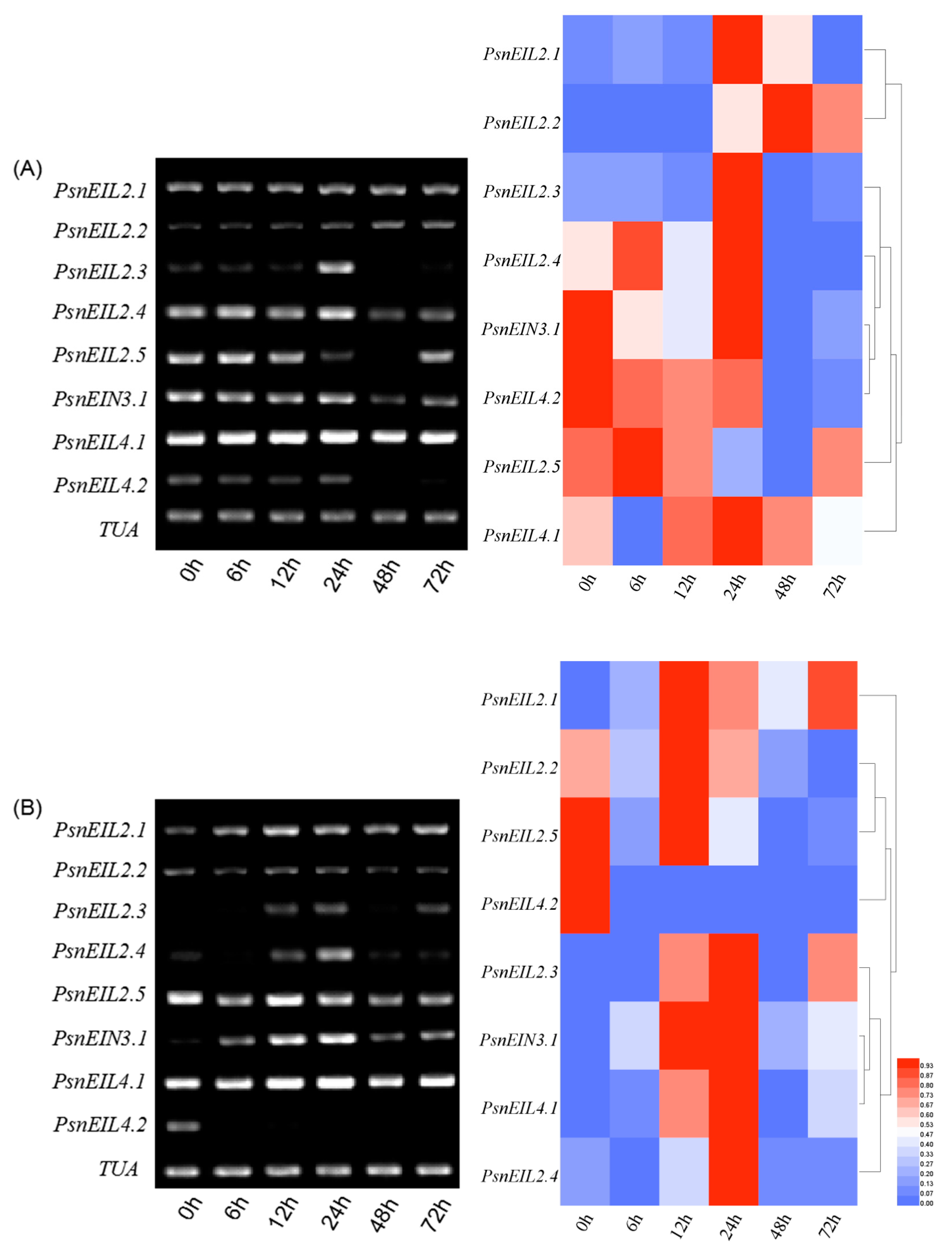 Forests 13 00382 g014