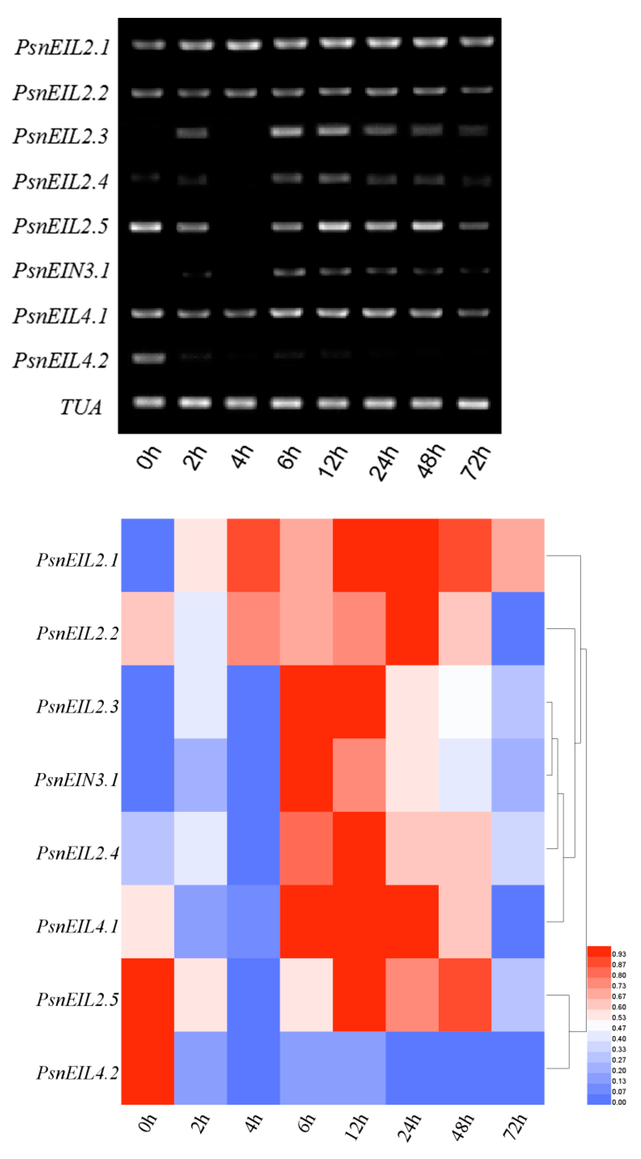 Forests 13 00382 g015