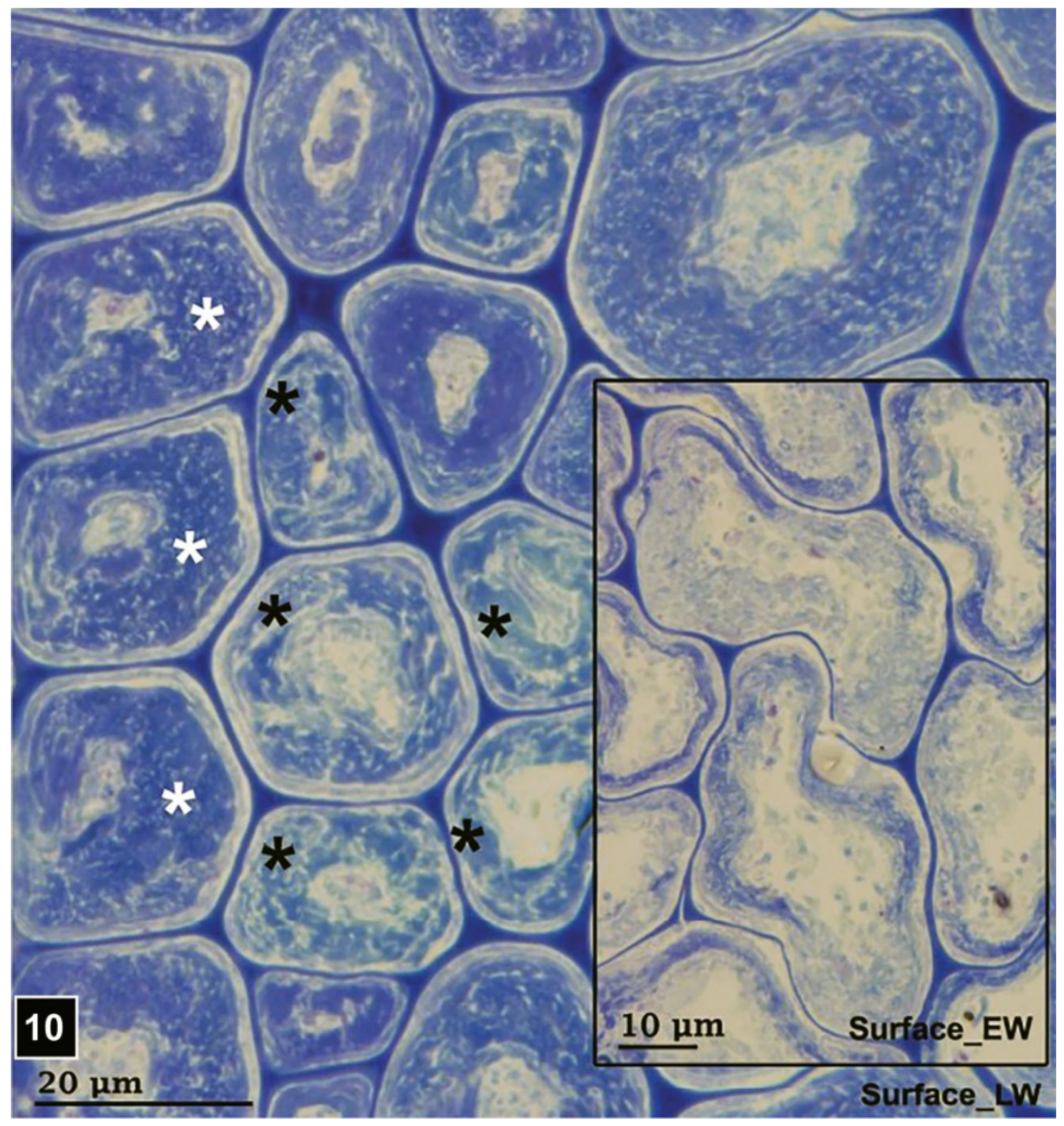 Forests 13 00394 g010 Forests 13 00394 g010