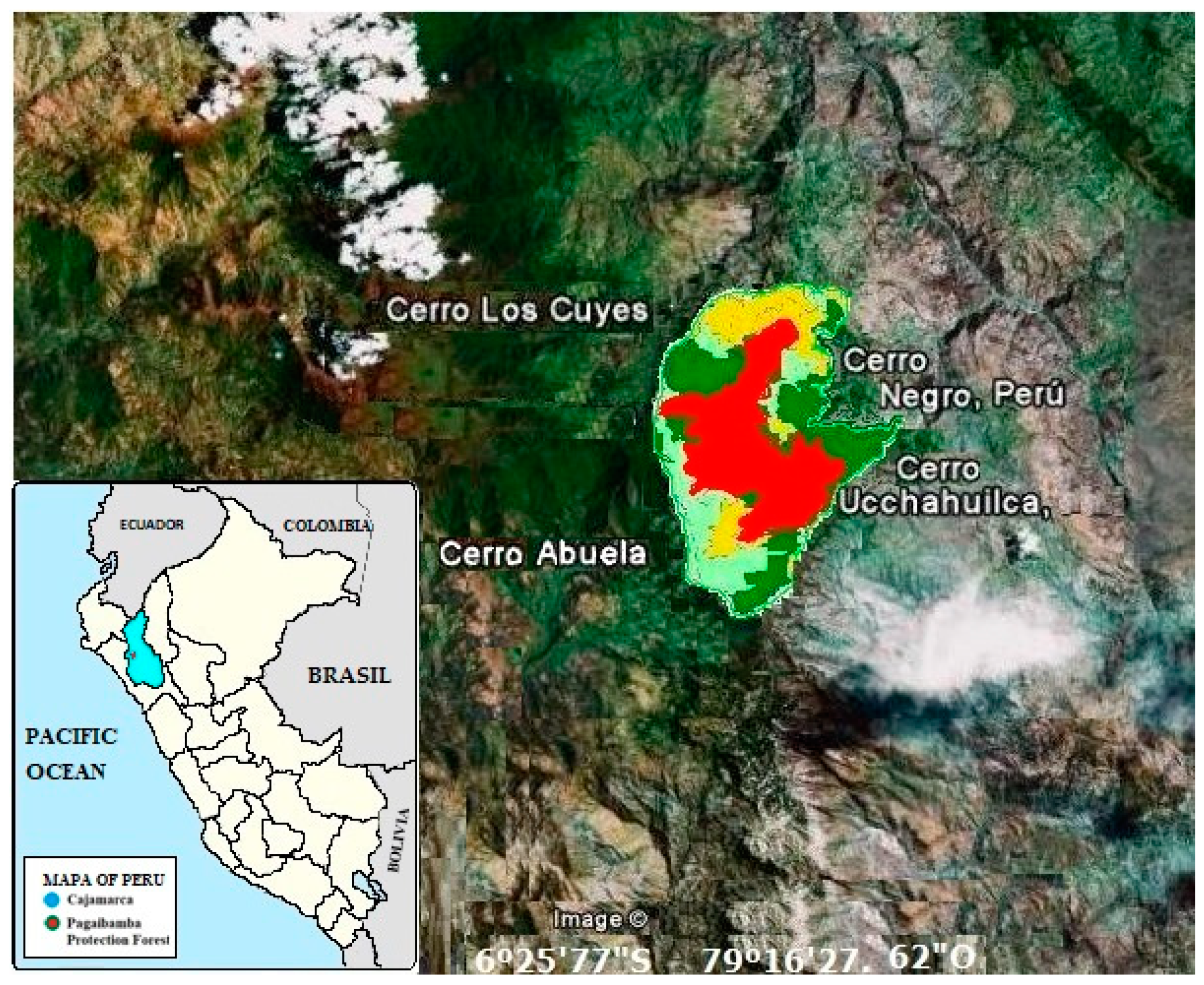 Forests 13 00436 g001