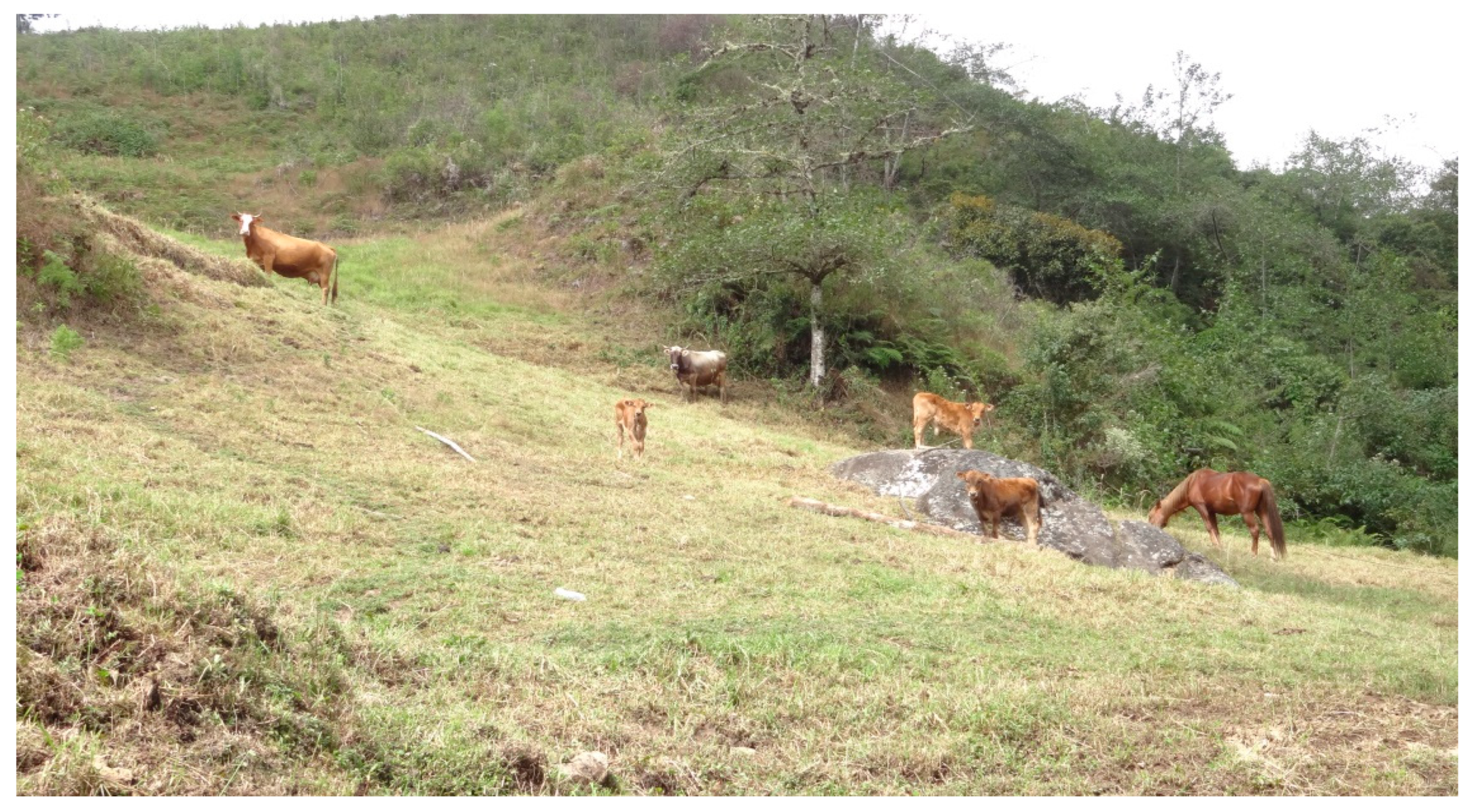 Forests 13 00436 g009