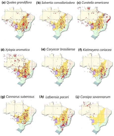 Forests | Free Full-Text | The Effects of Environmental Changes on Plant  Species and Forest Dependent Communities in the Amazon Region | HTML