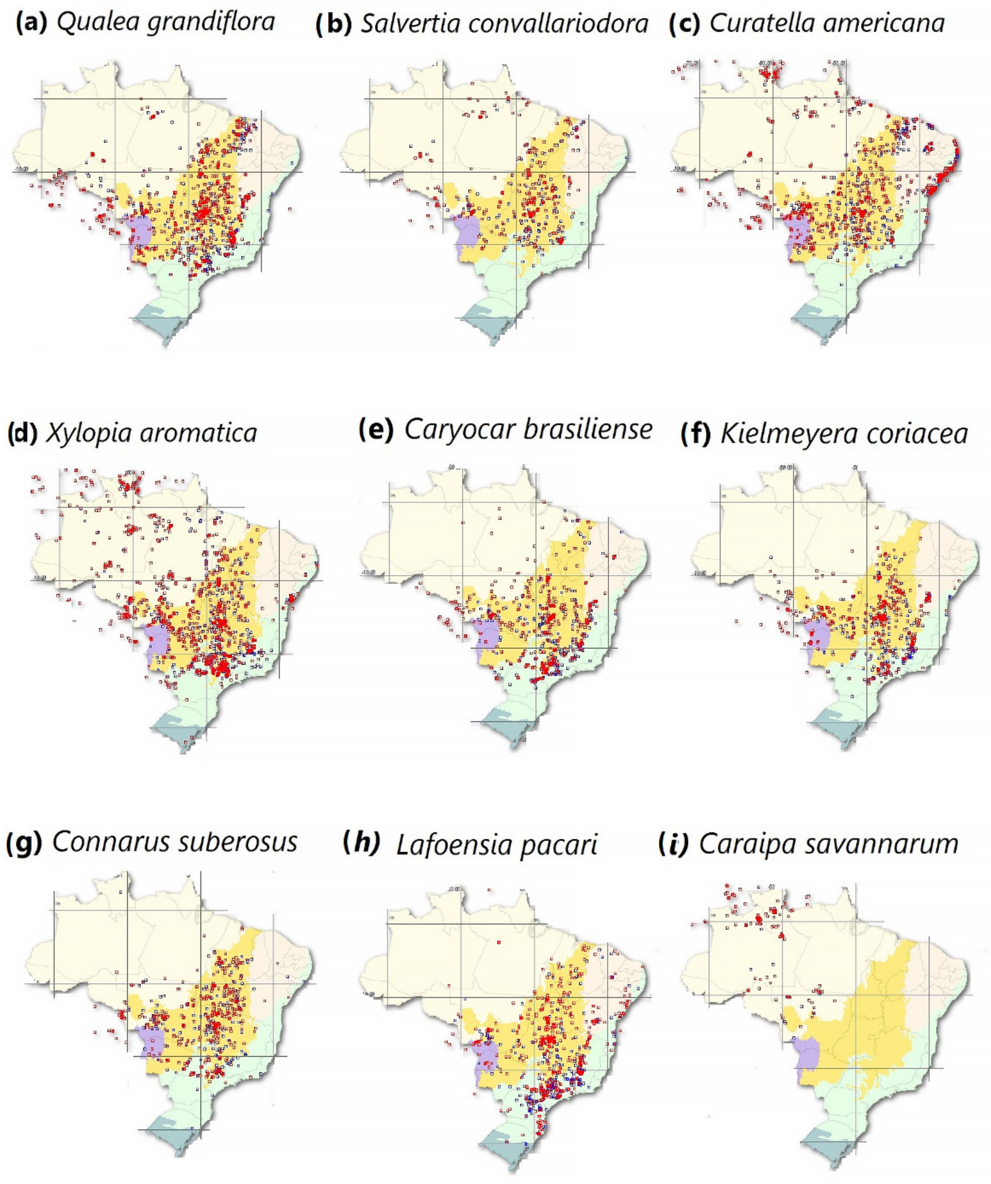 Forests | Free Full-Text | The Effects of Environmental Changes on Plant  Species and Forest Dependent Communities in the Amazon Region