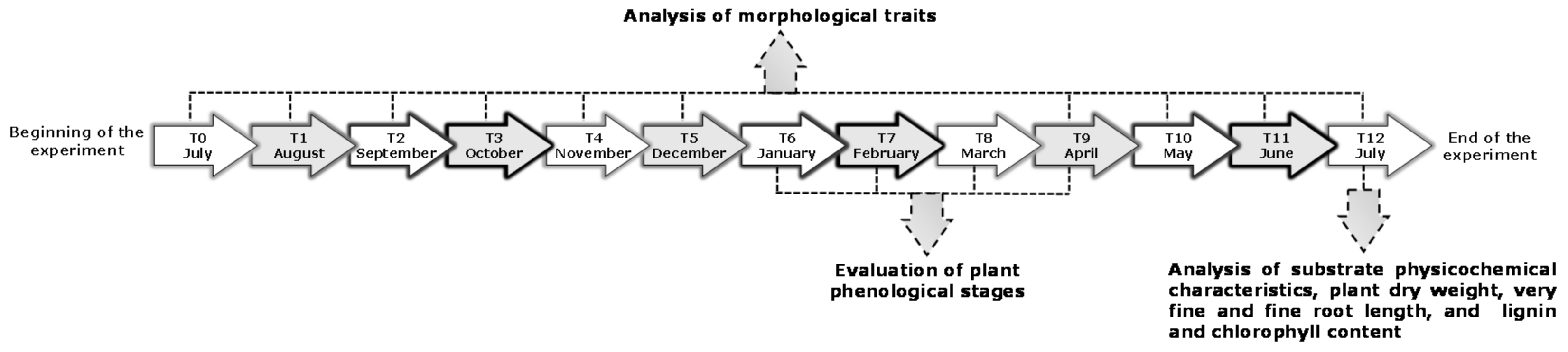 Forests 13 00550 g001