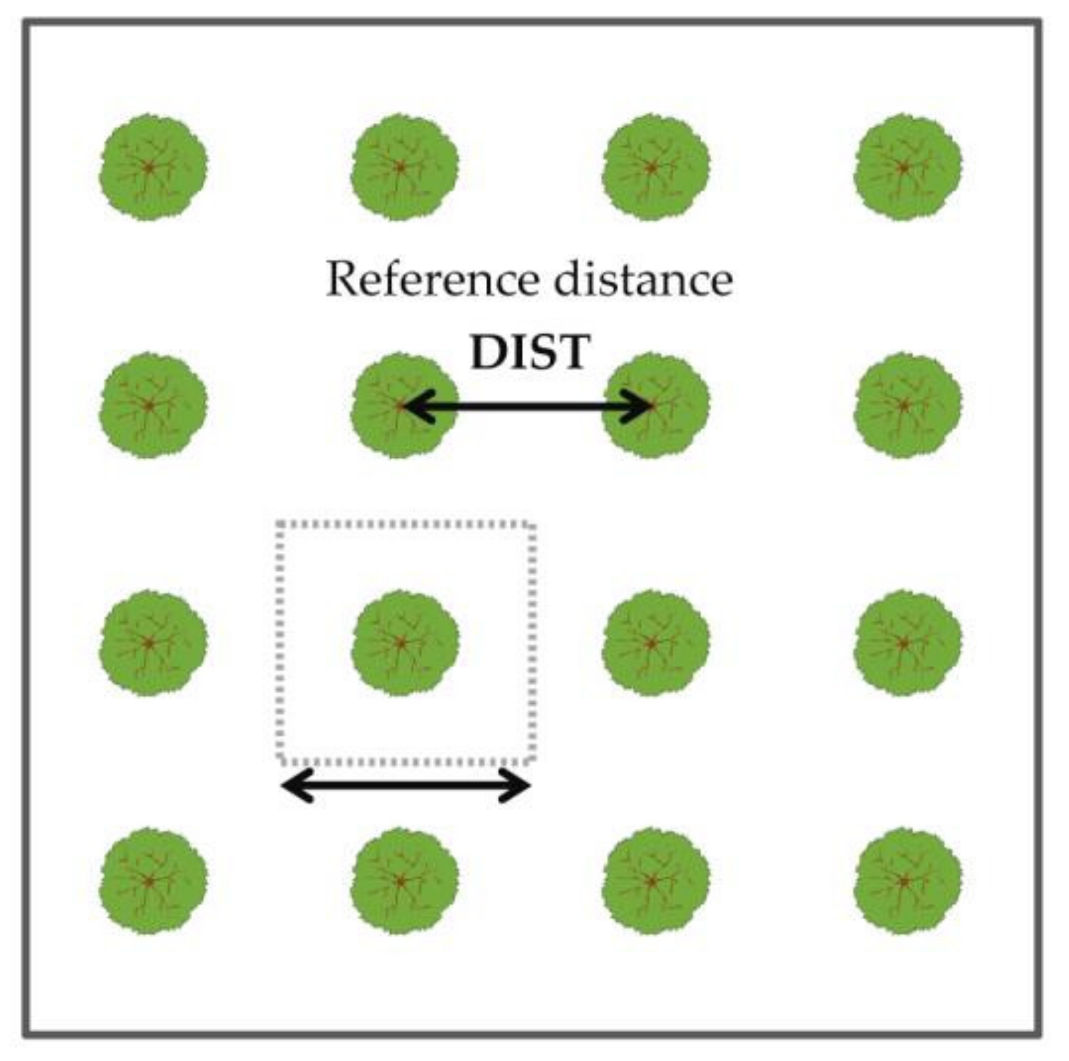 Forests 13 00555 g004