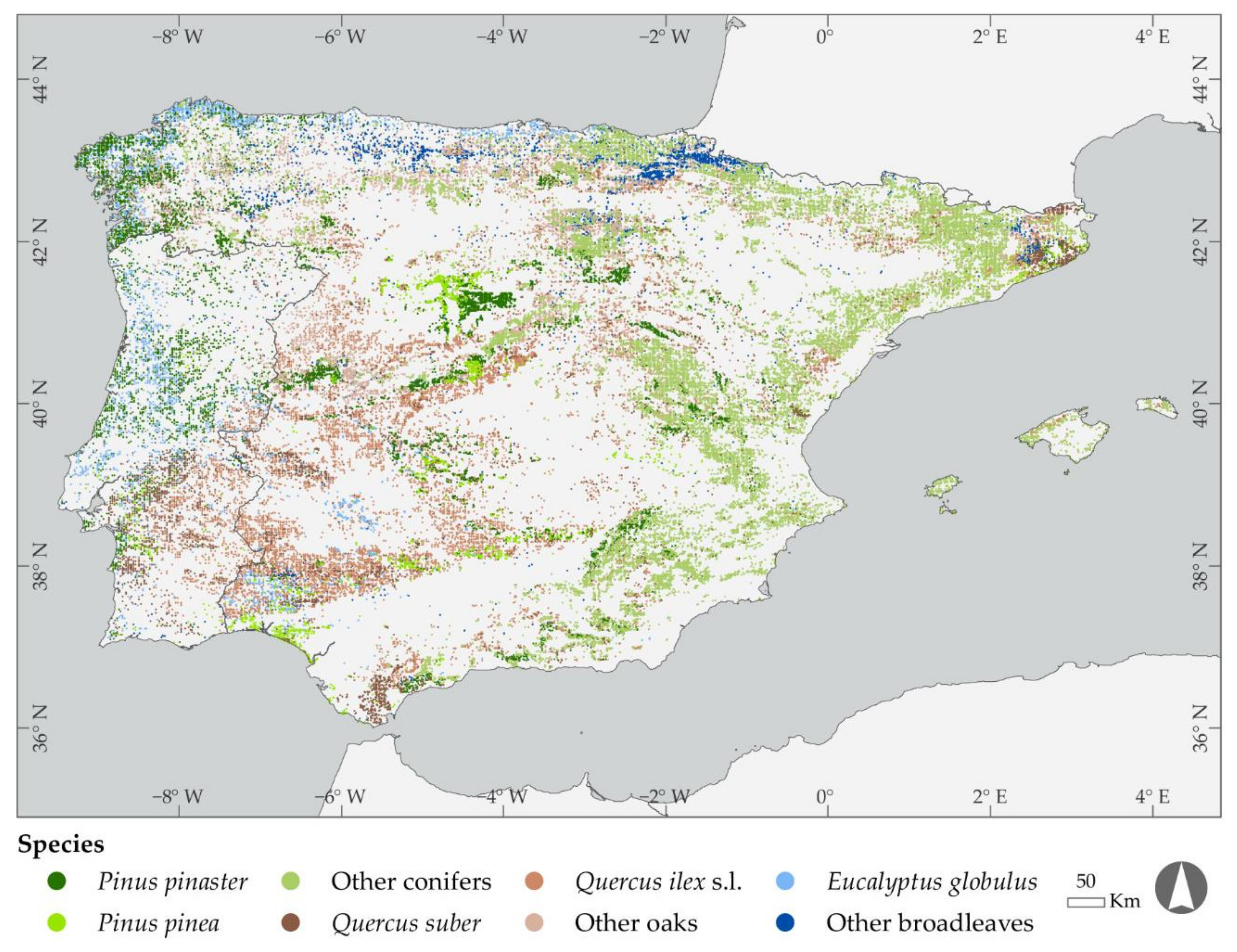 Forests | Free Full-Text | Bulk Density of Shrub Types and Tree Crowns to  Use with Forest Inventories in the Iberian Peninsula