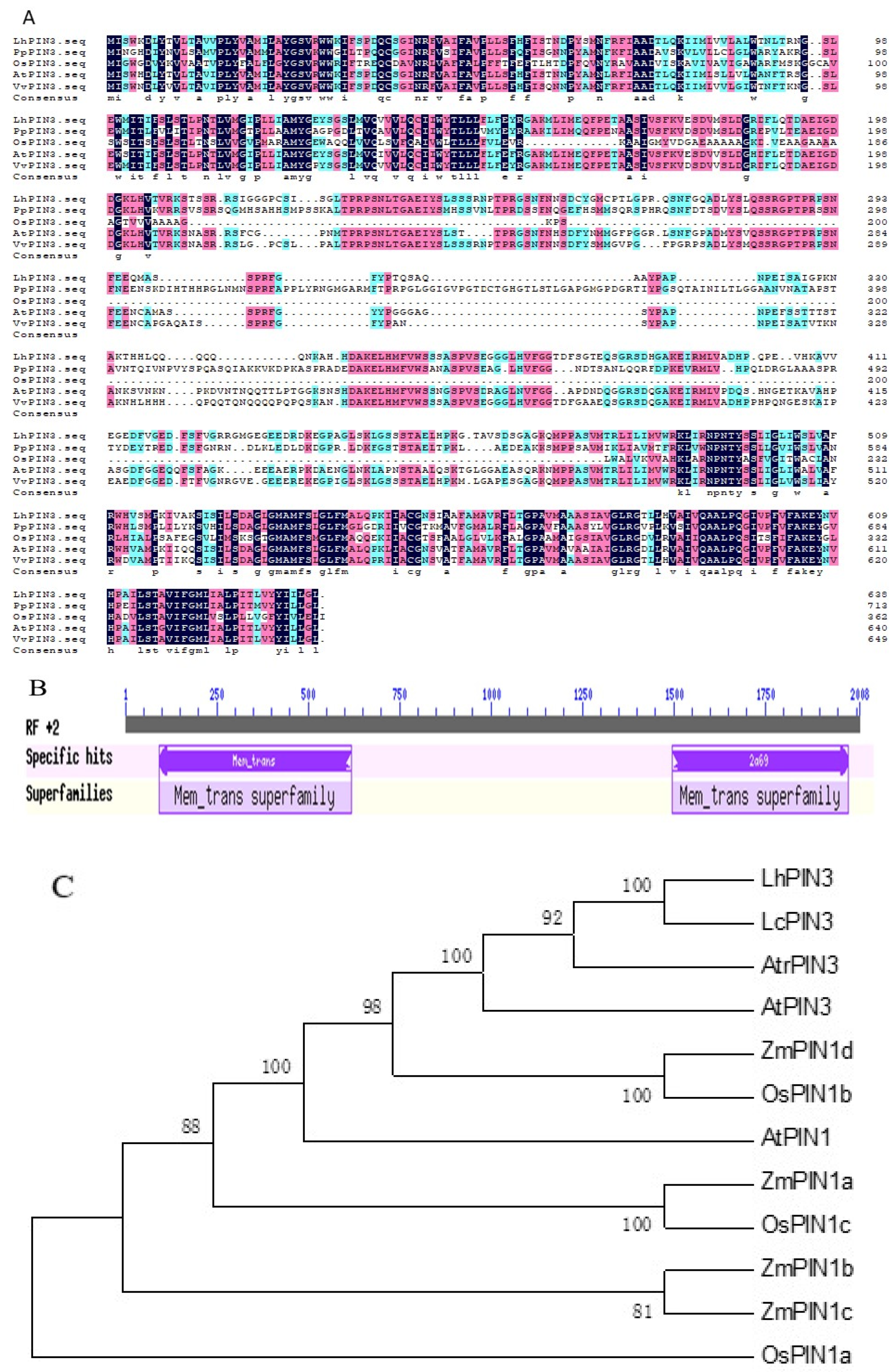 Forests 13 00568 g001