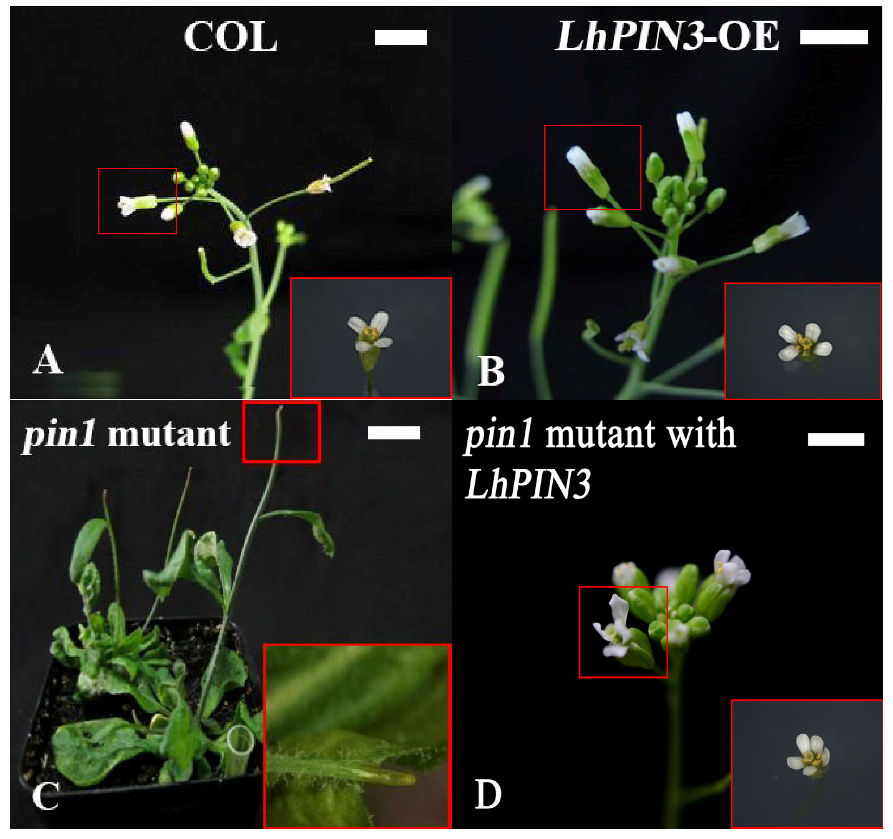 Forests 13 00568 g005