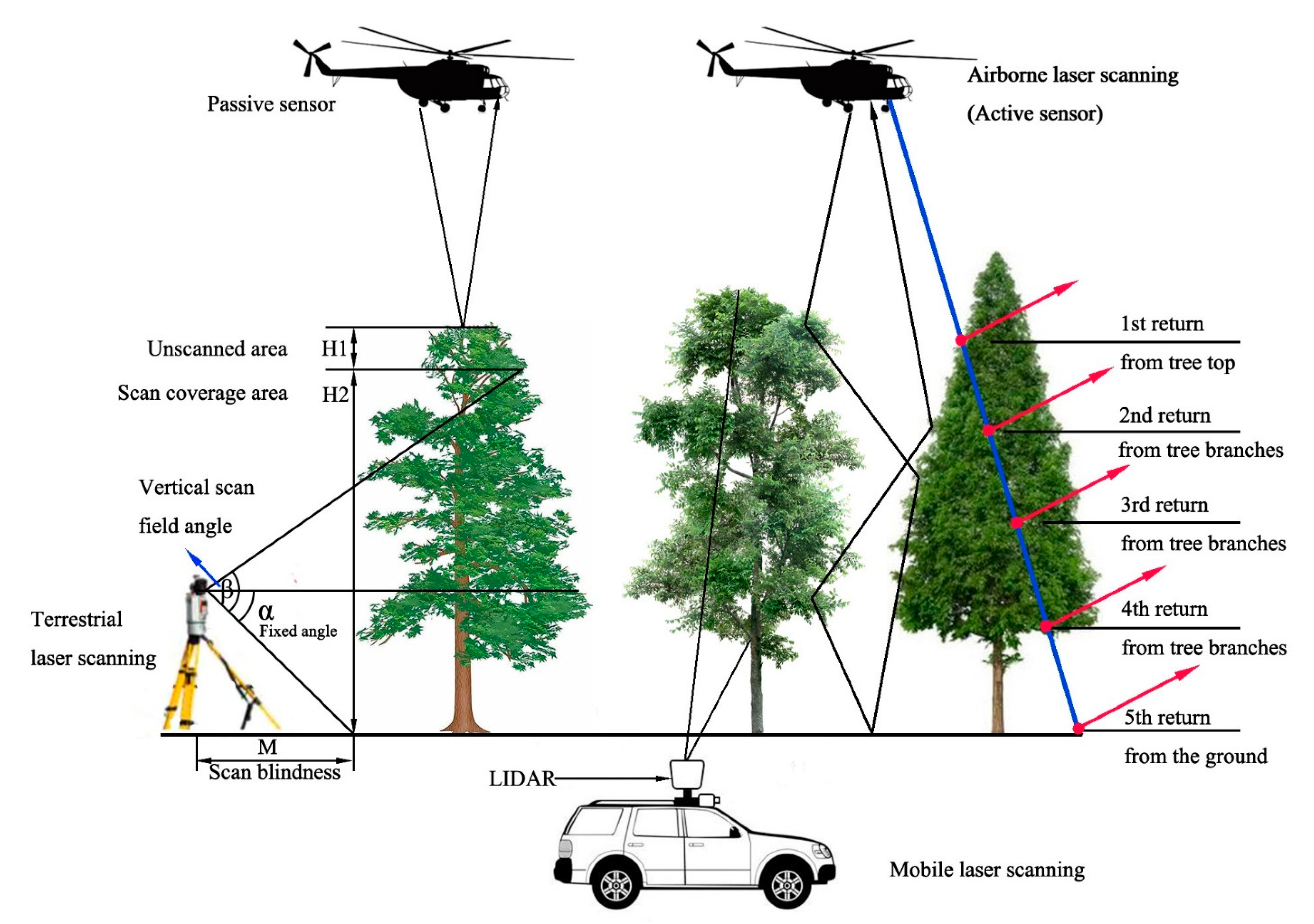 Forests 13 00616 g002