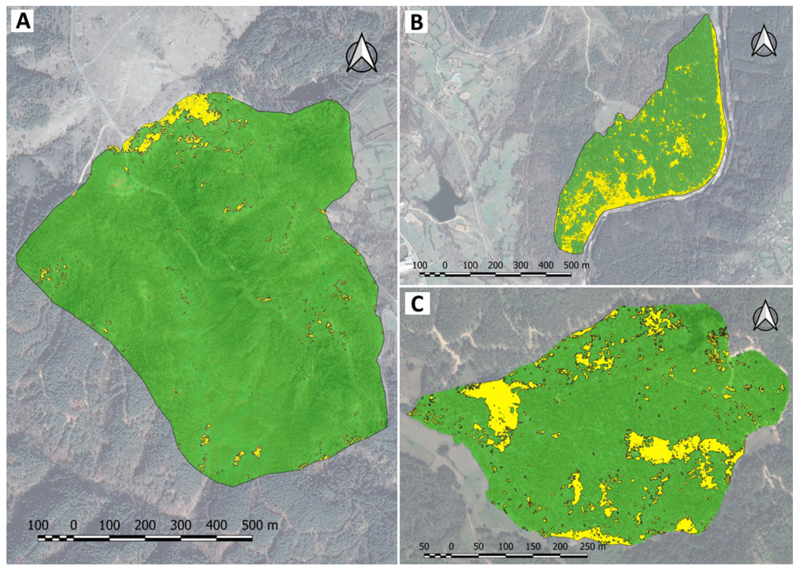 Forests | Free Full-Text | Application of Remote Sensing Data for  Assessment of Bark Beetle Attacks in Pine Plantations in Kirkovo Region,  the Eastern Rhodopes