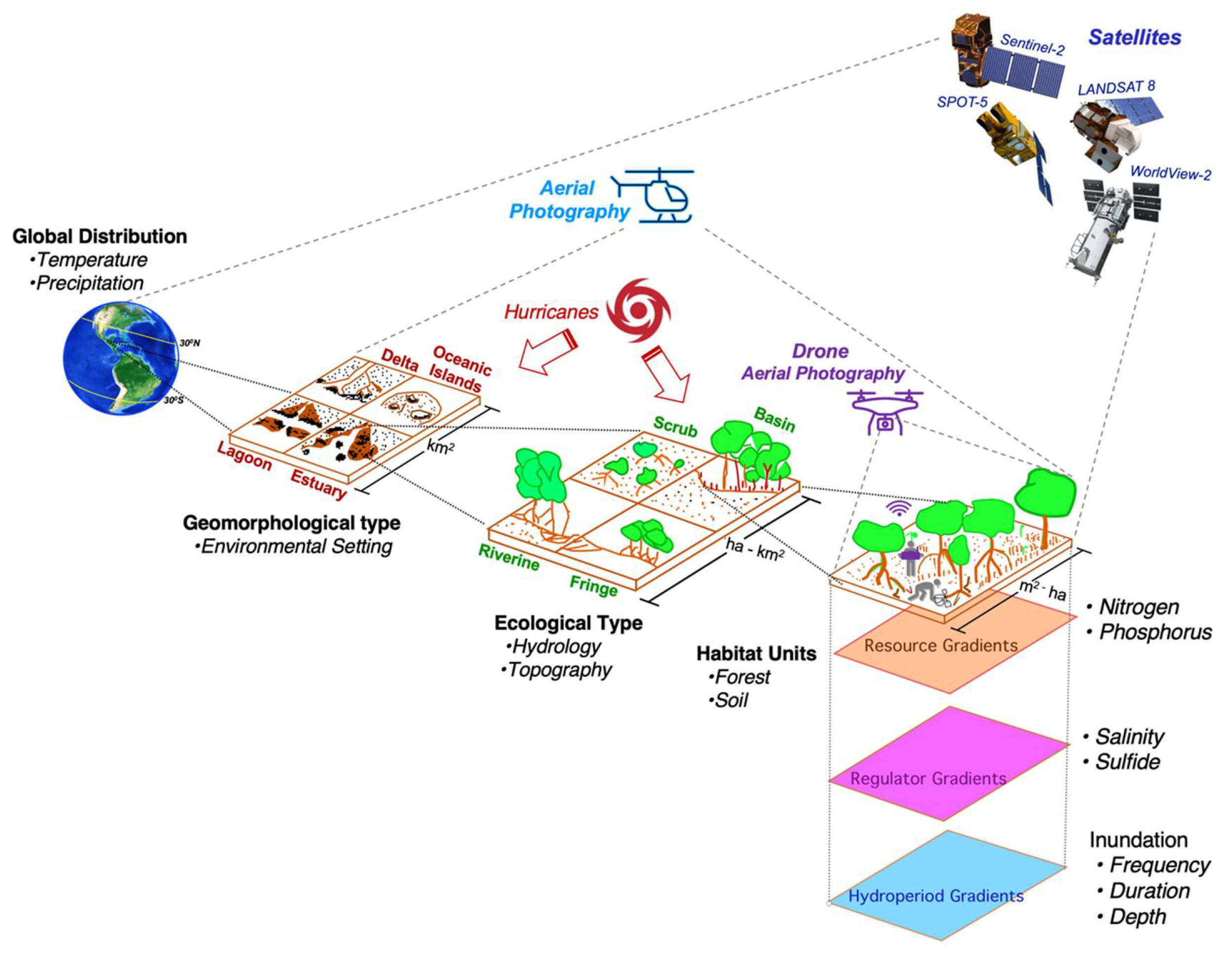 Forests 13 00621 g002 Forests 13 00621 g002