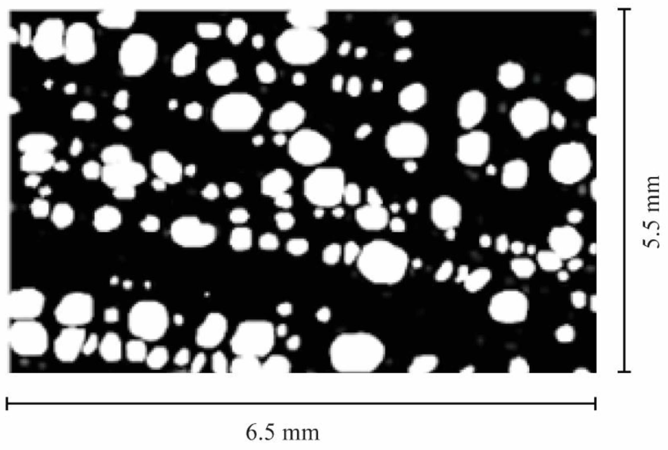 Forests 13 00633 g002