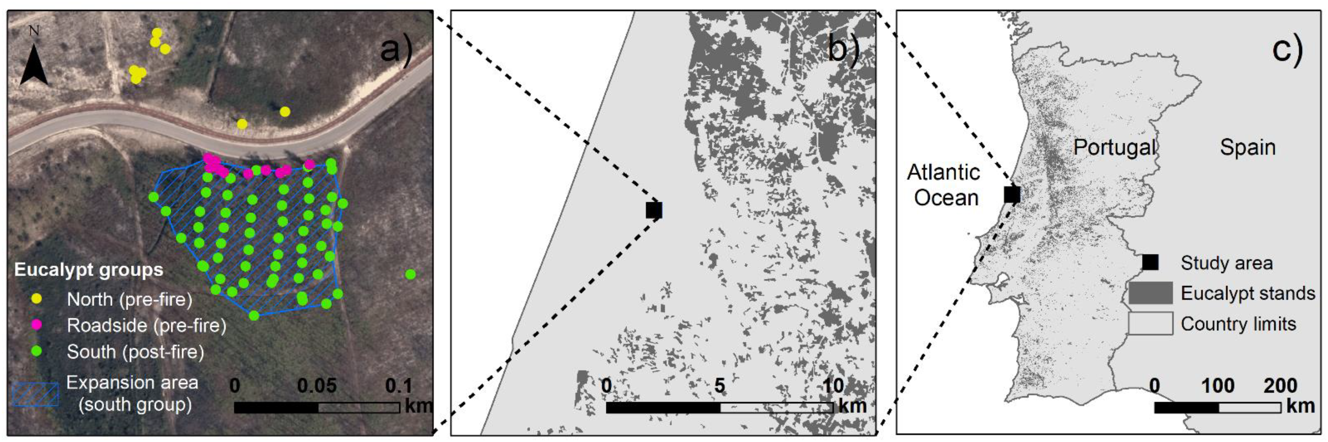 Forests 13 00680 g001