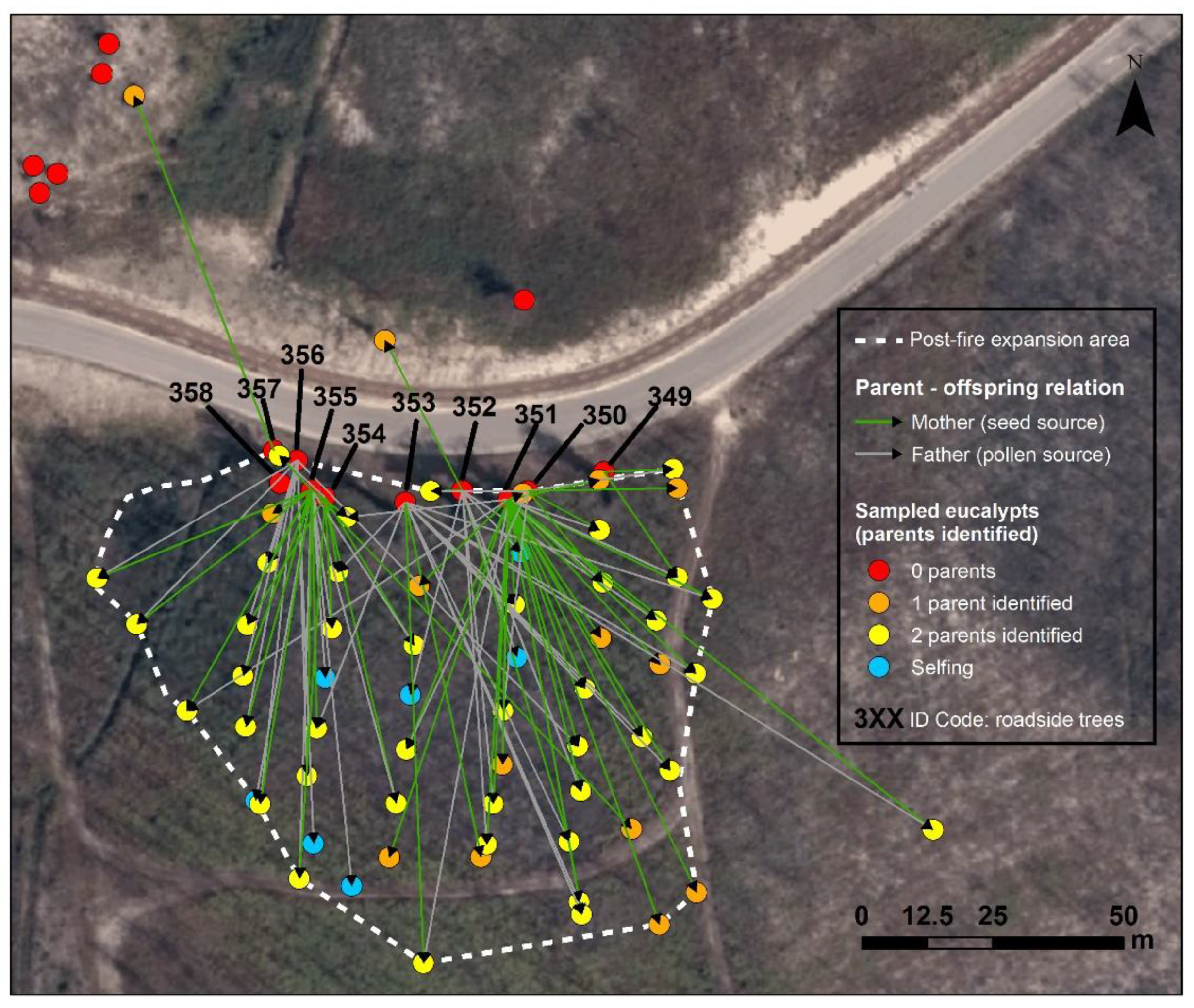 Forests 13 00680 g003