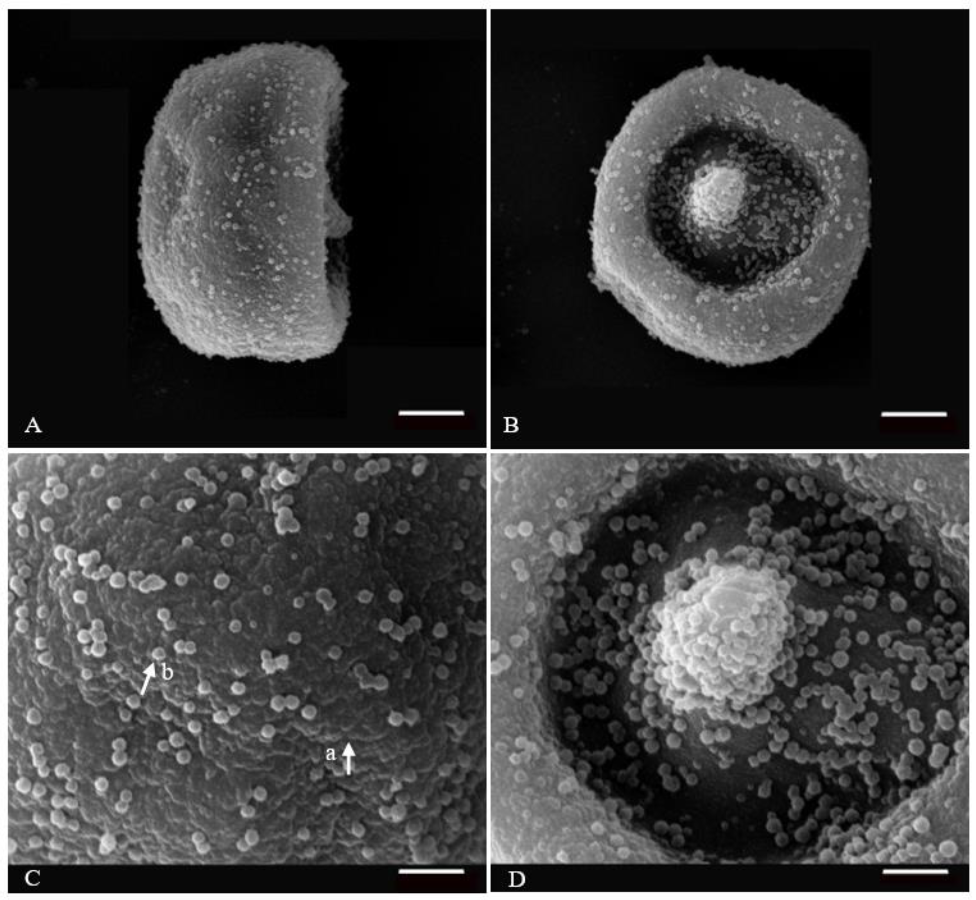 Forests 13 00694 g002