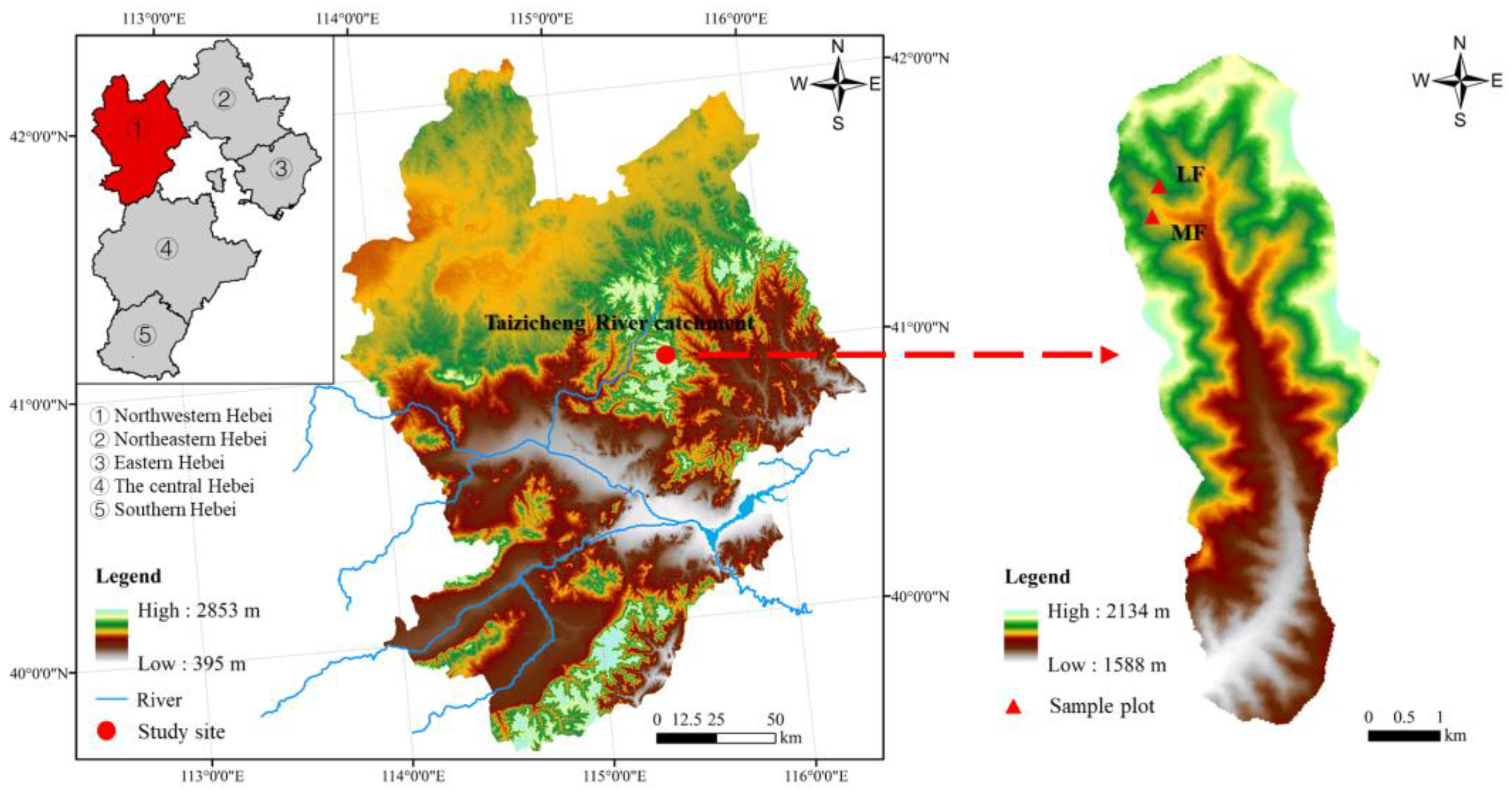 Forests 13 00703 g001