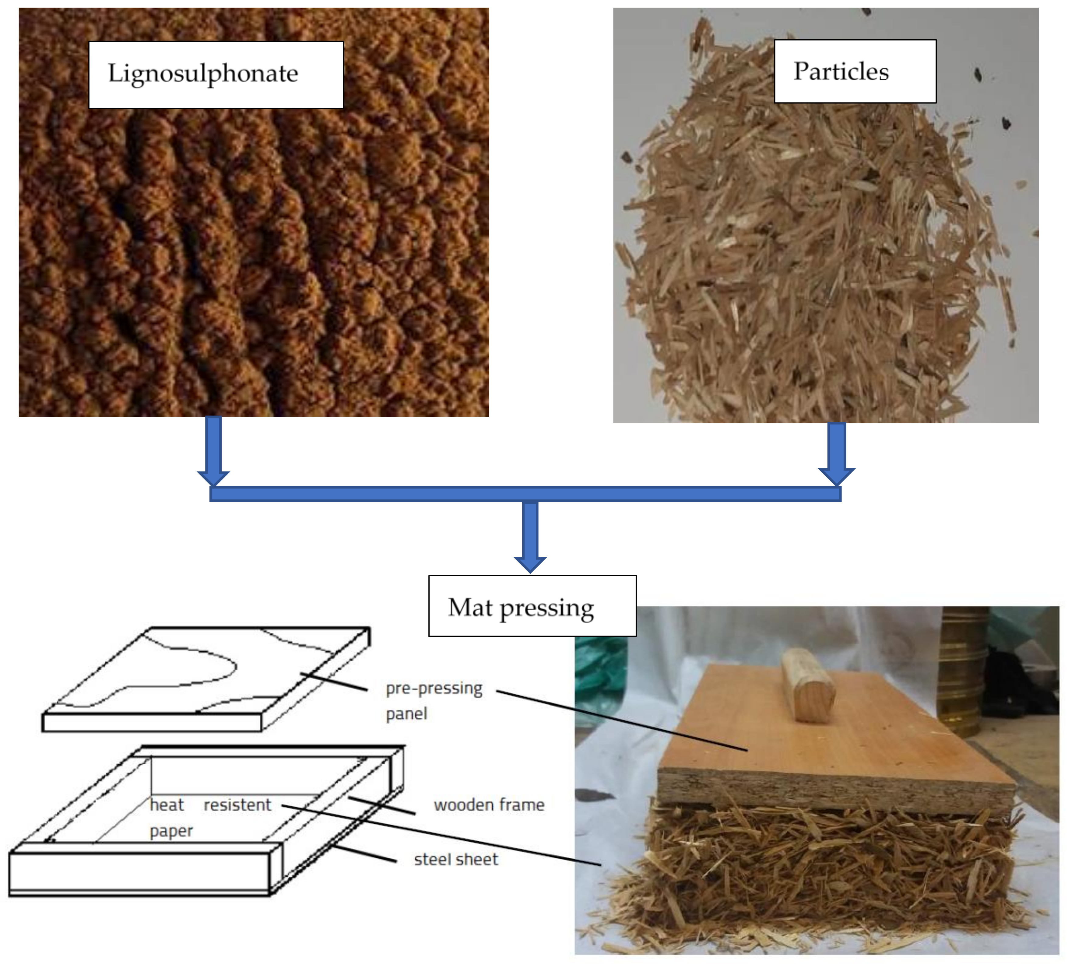 Forests 13 00737 g010