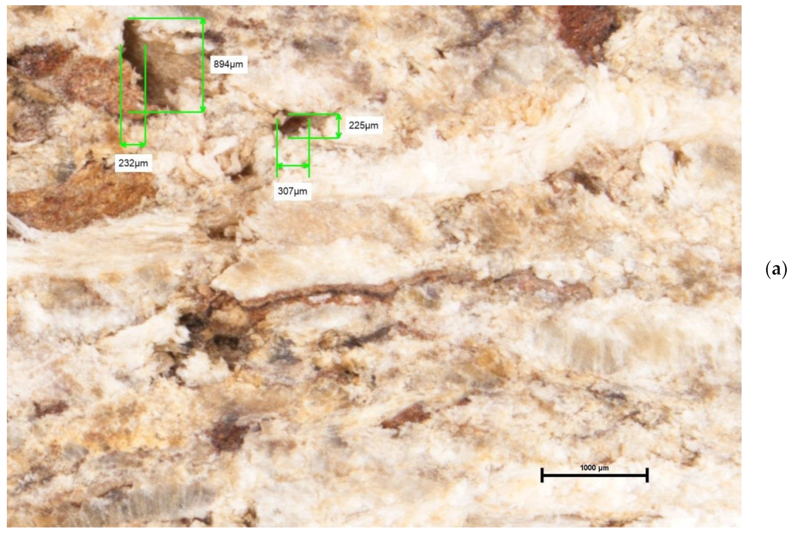 Forests 13 00737 g011a