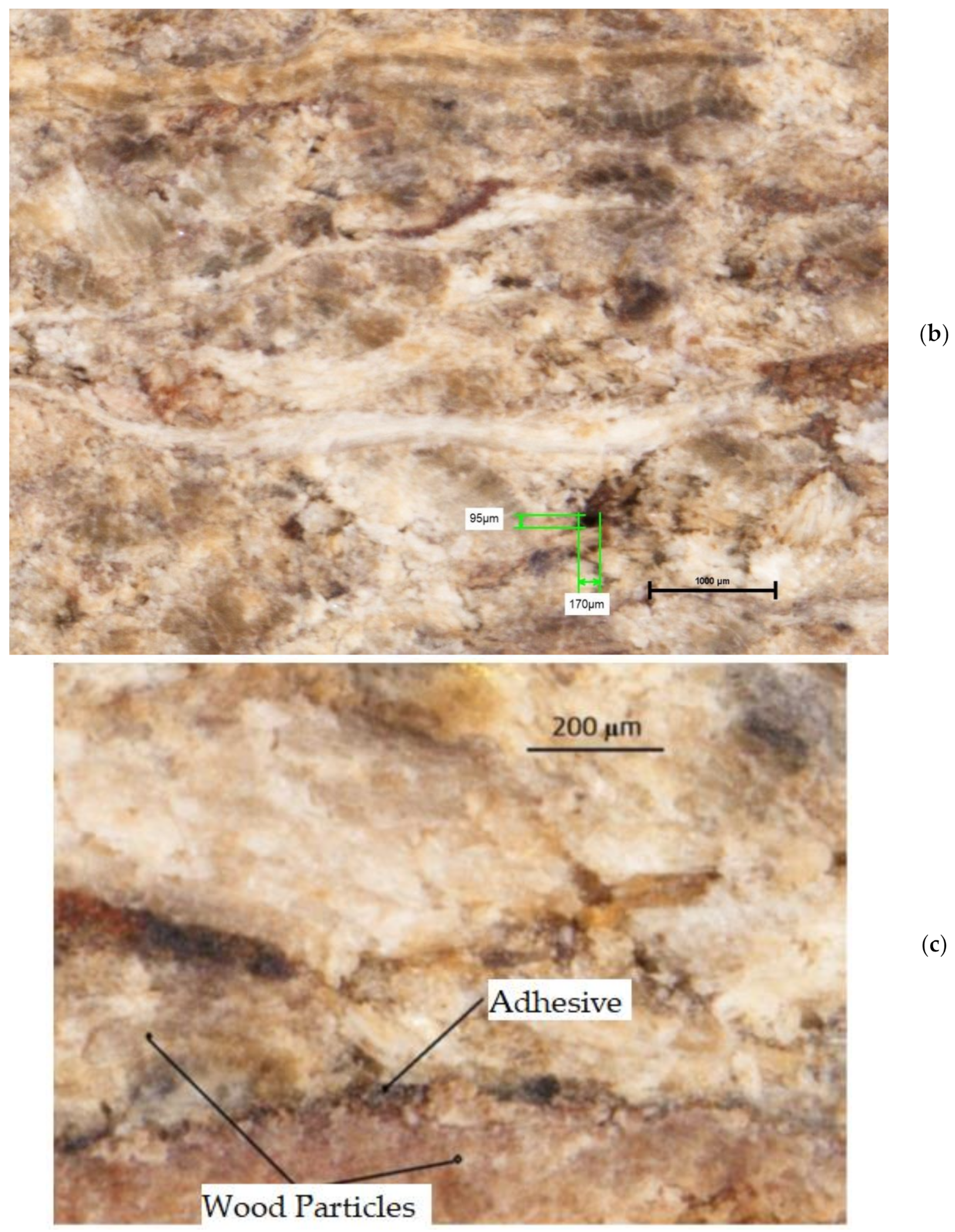 Forests 13 00737 g011b