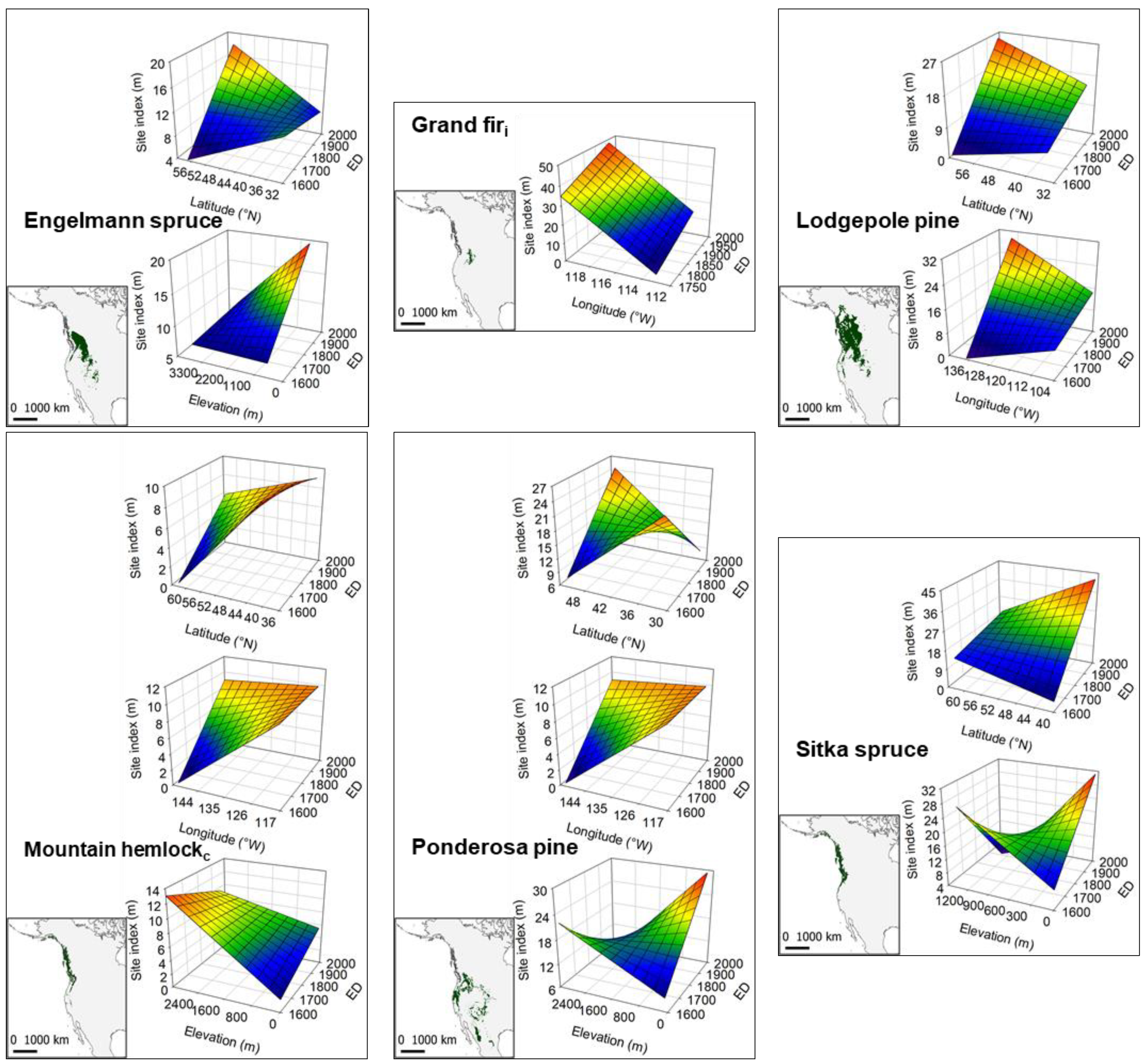Forests 13 00738 g006b Forests 13 00738 g006b