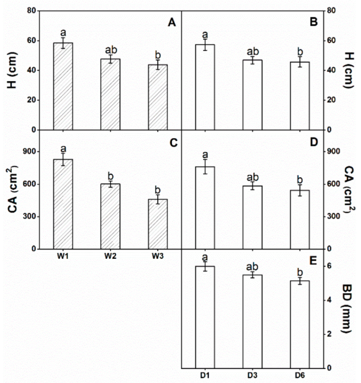 Forests 13 00762 g003