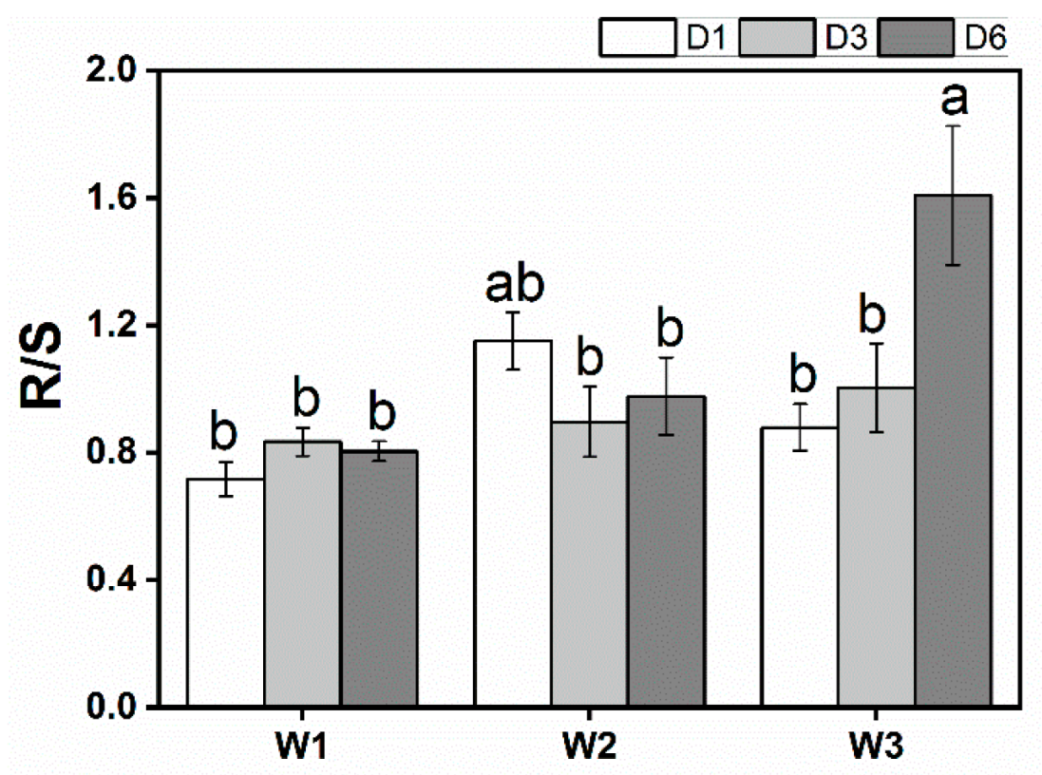Forests 13 00762 g006