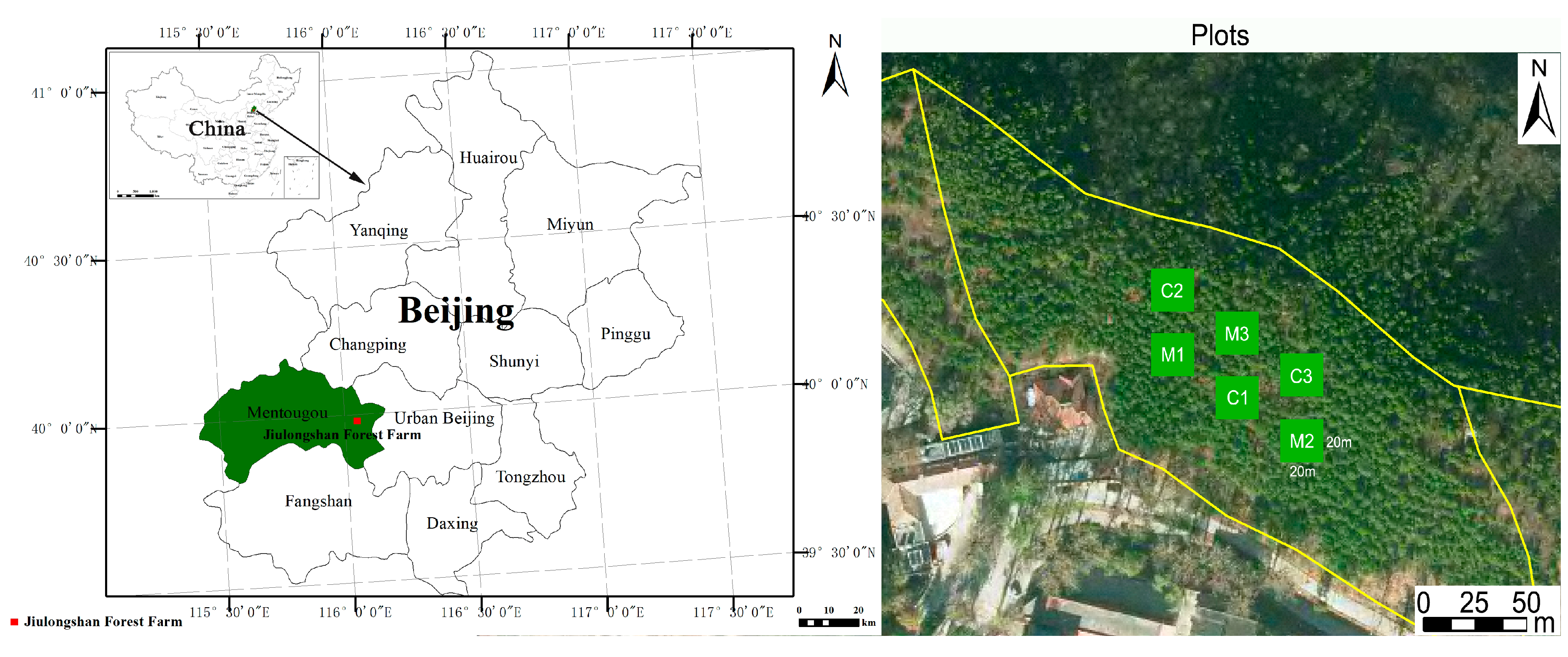 Forests 13 00852 g001