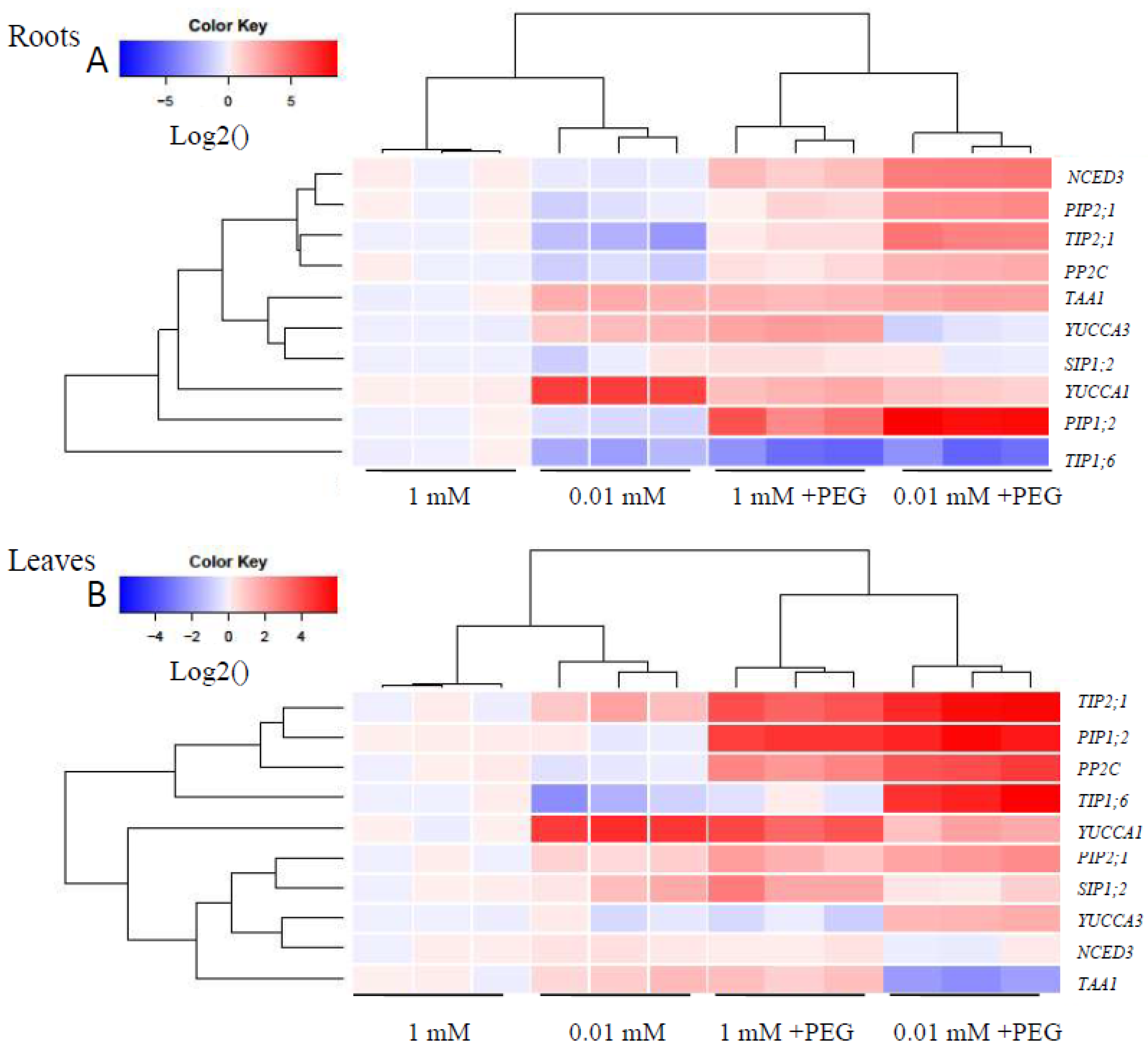 Forests 13 00907 g008