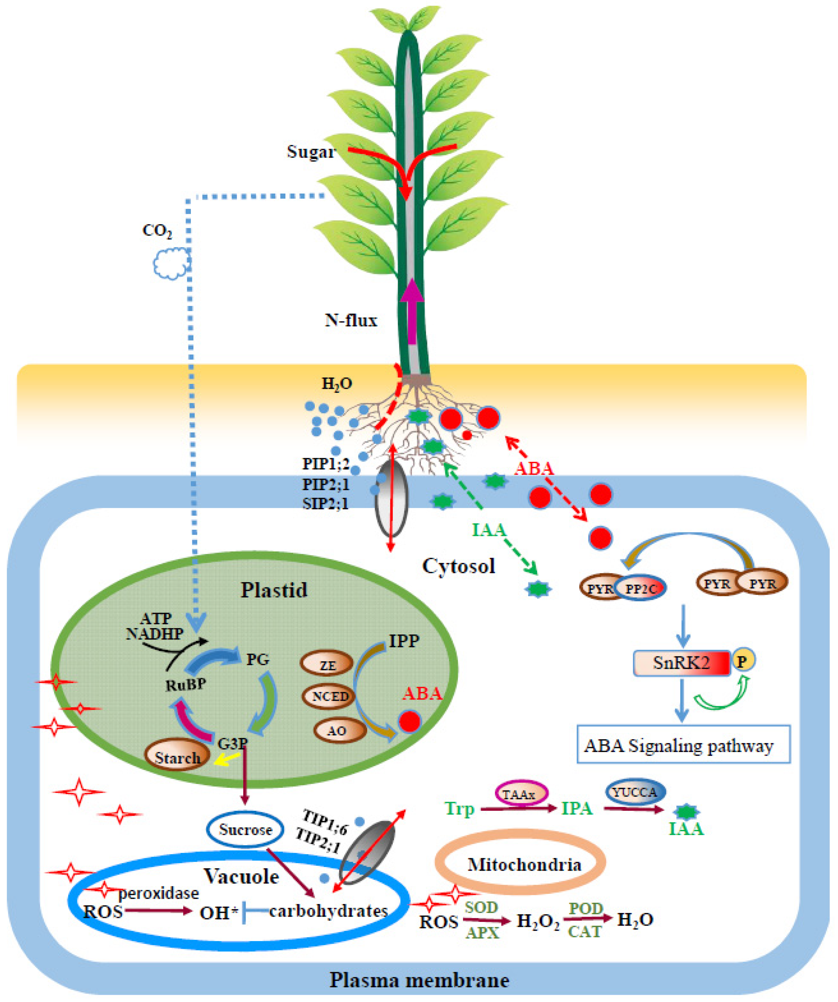Forests 13 00907 g009