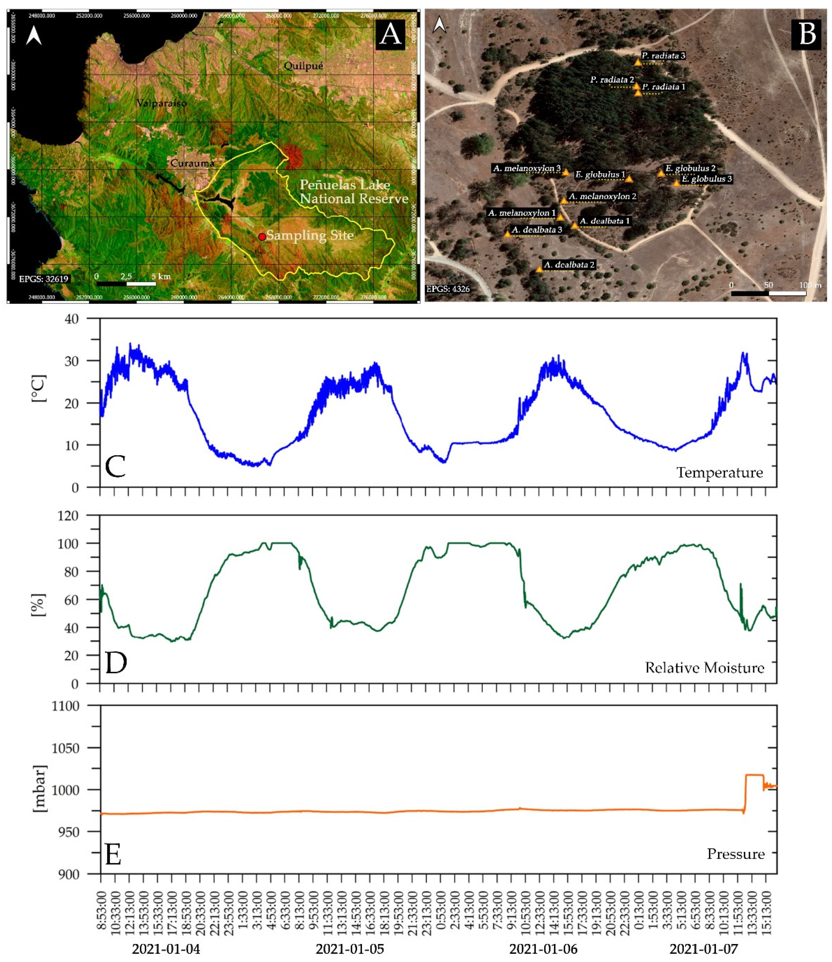 Forests 13 00908 g001