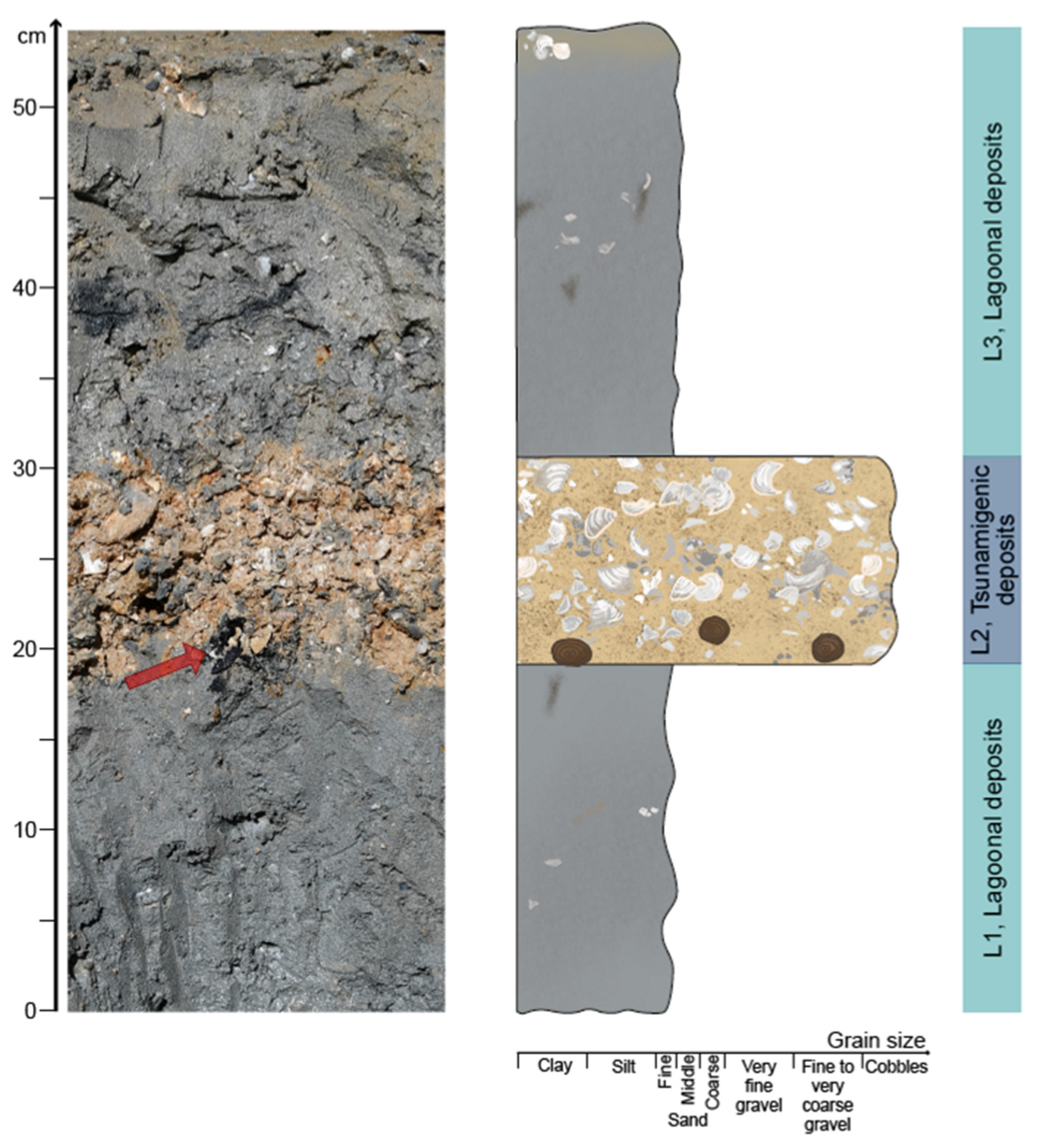 Forests 13 00922 g002