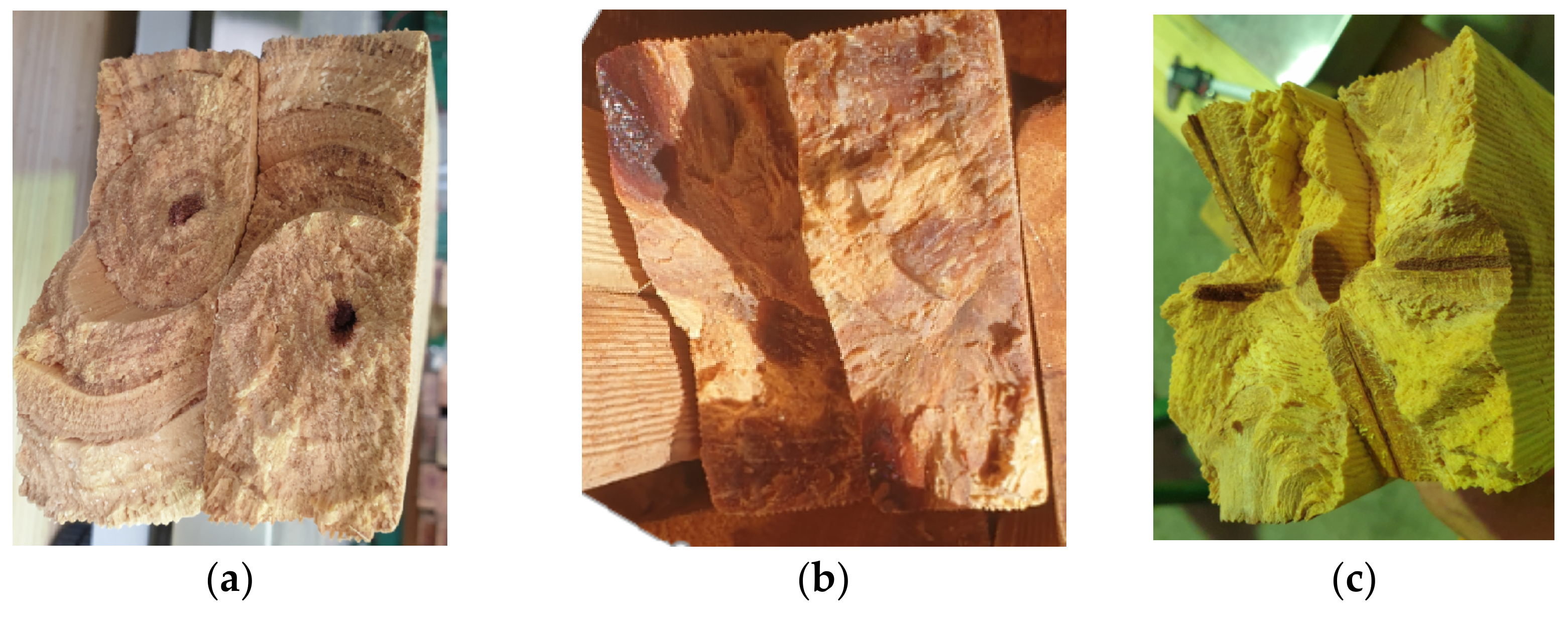 Forests 13 00927 g028