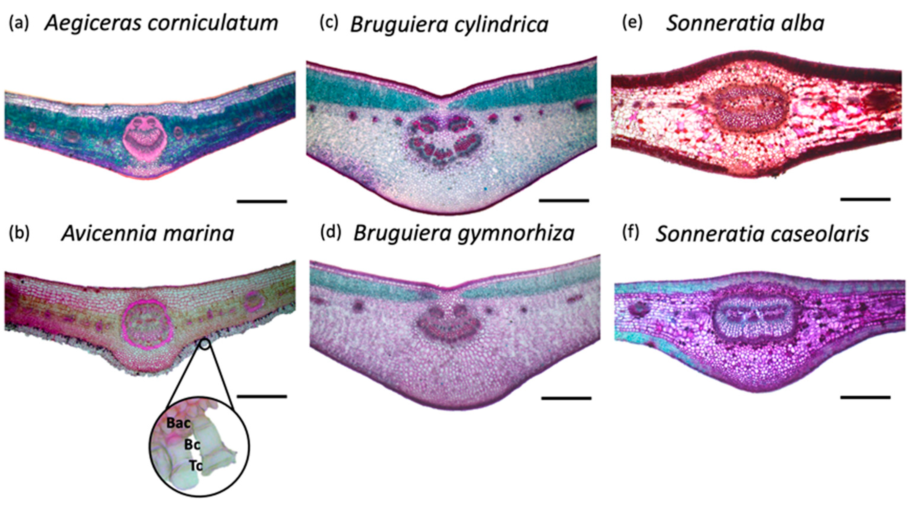 Forests 13 00951 g003