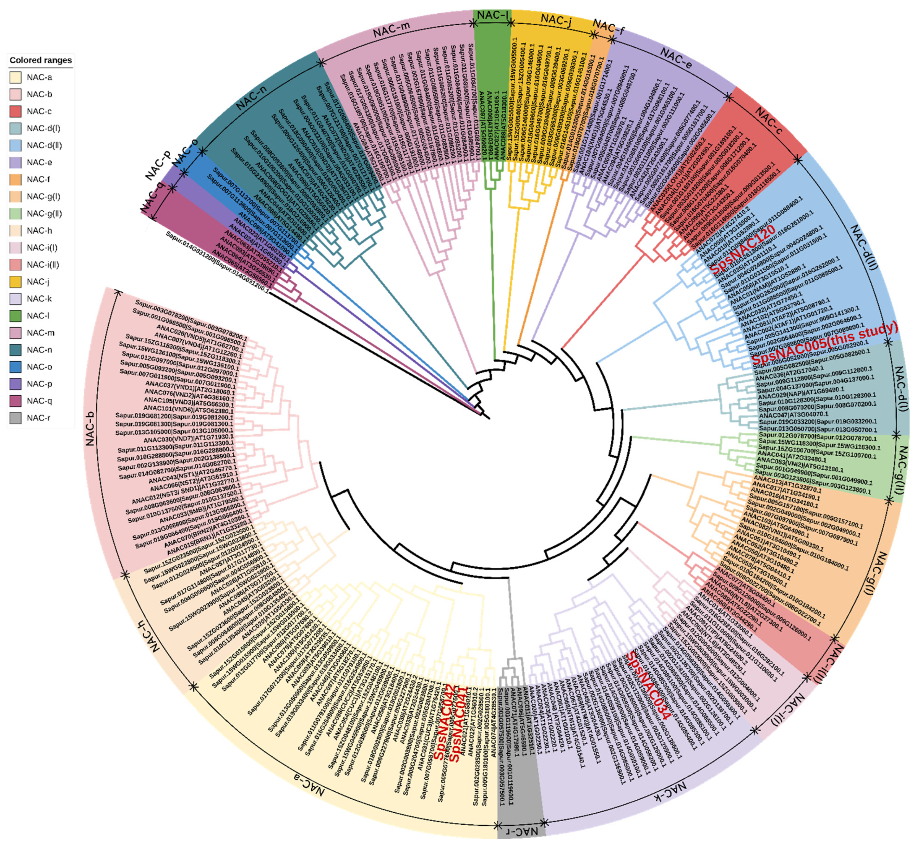 Forests 13 00971 g002
