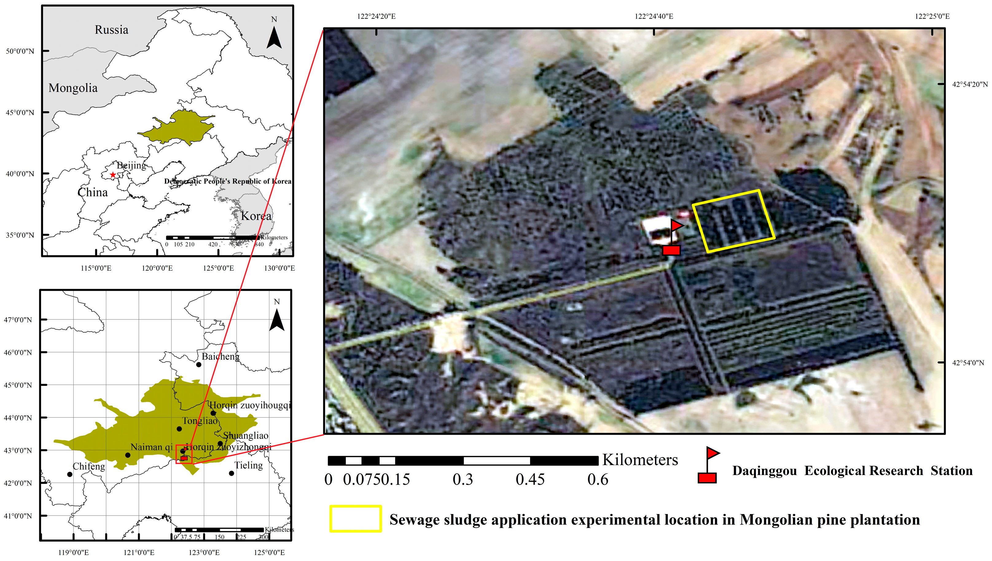 Forests | Free Full-Text | Effects of Sewage Sludge Application on 