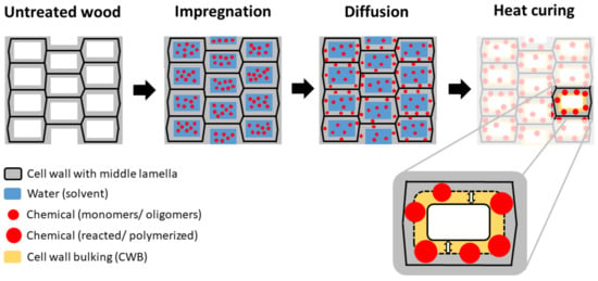 Sun-soaking device turns water into superheated steam, MIT News