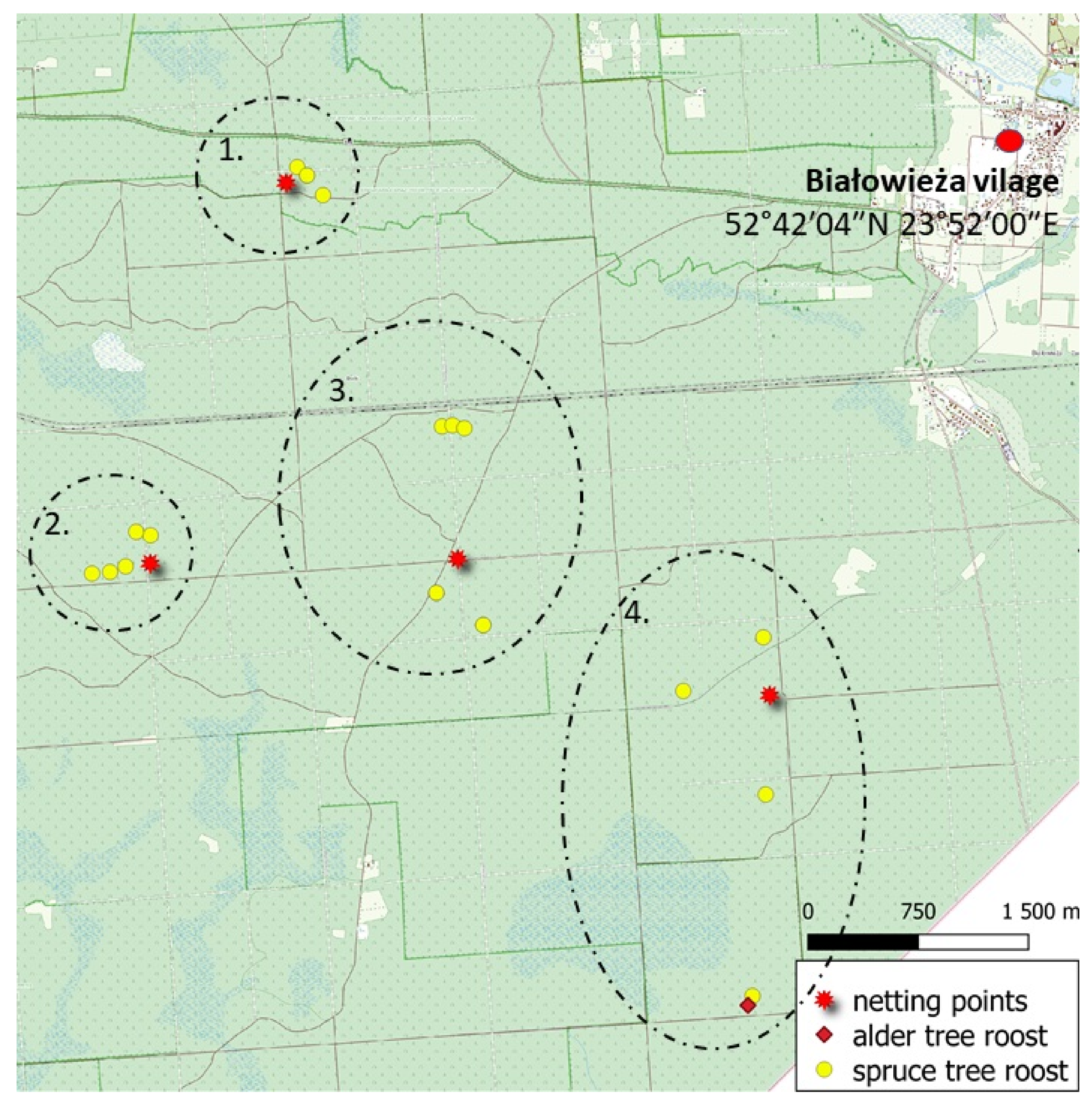 Forests 13 01073 g003