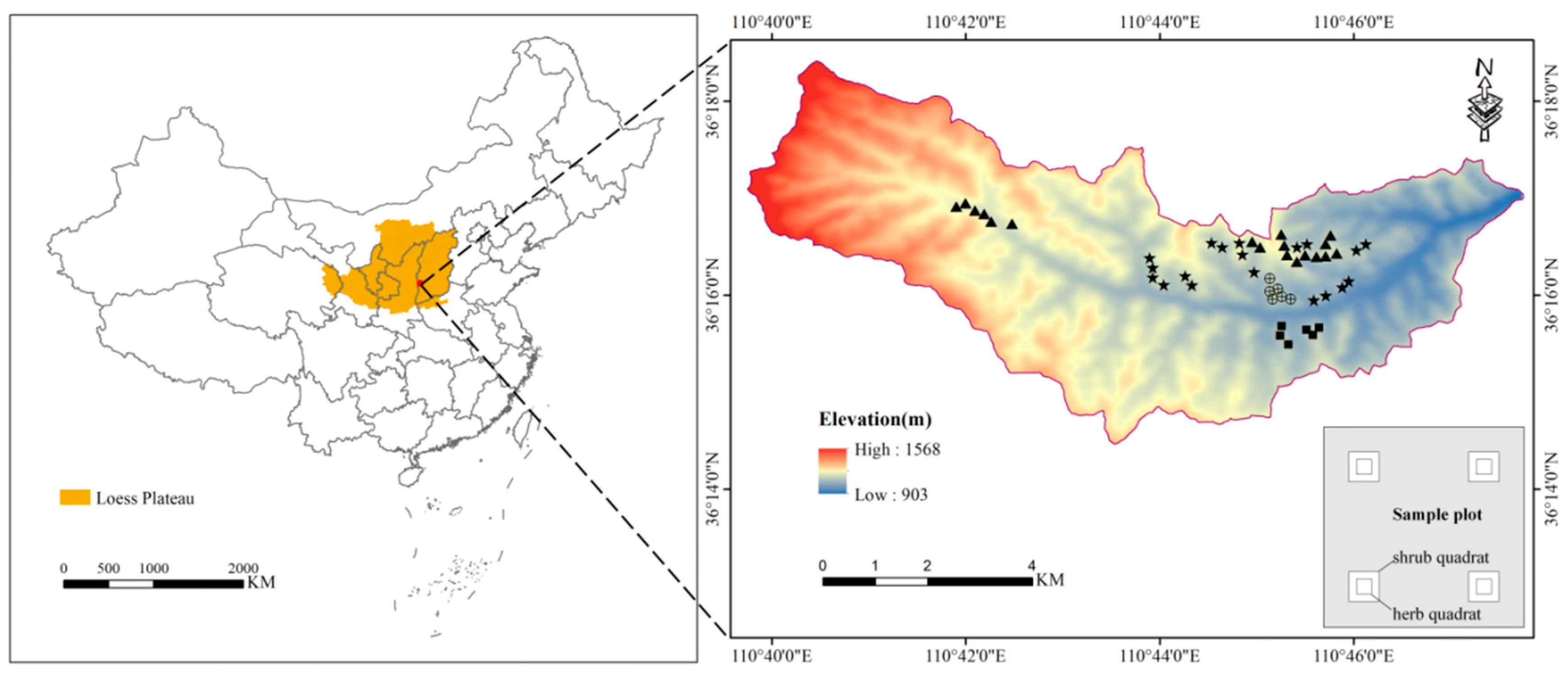 Soils of East Pakistan