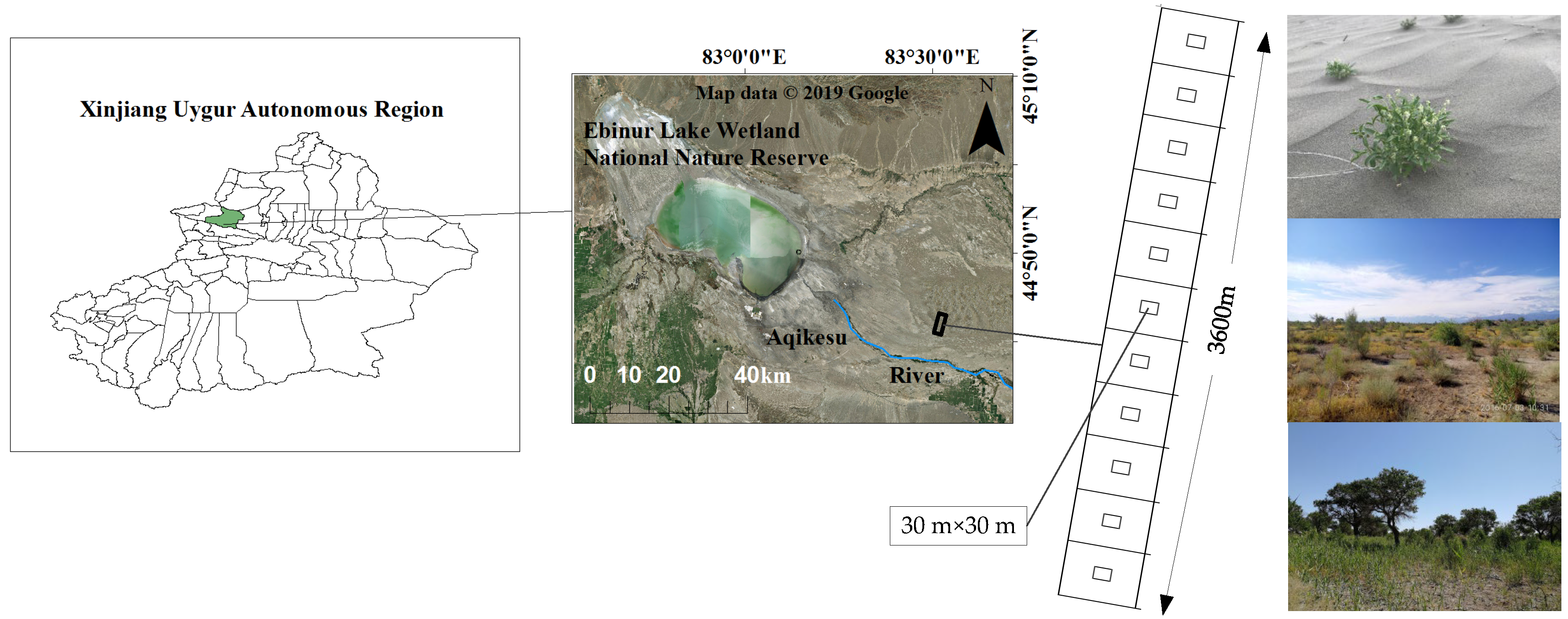 The Evolution of Plant Functional Variation: Traits, Spectra, and