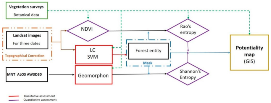 Forests 13 01159 g001